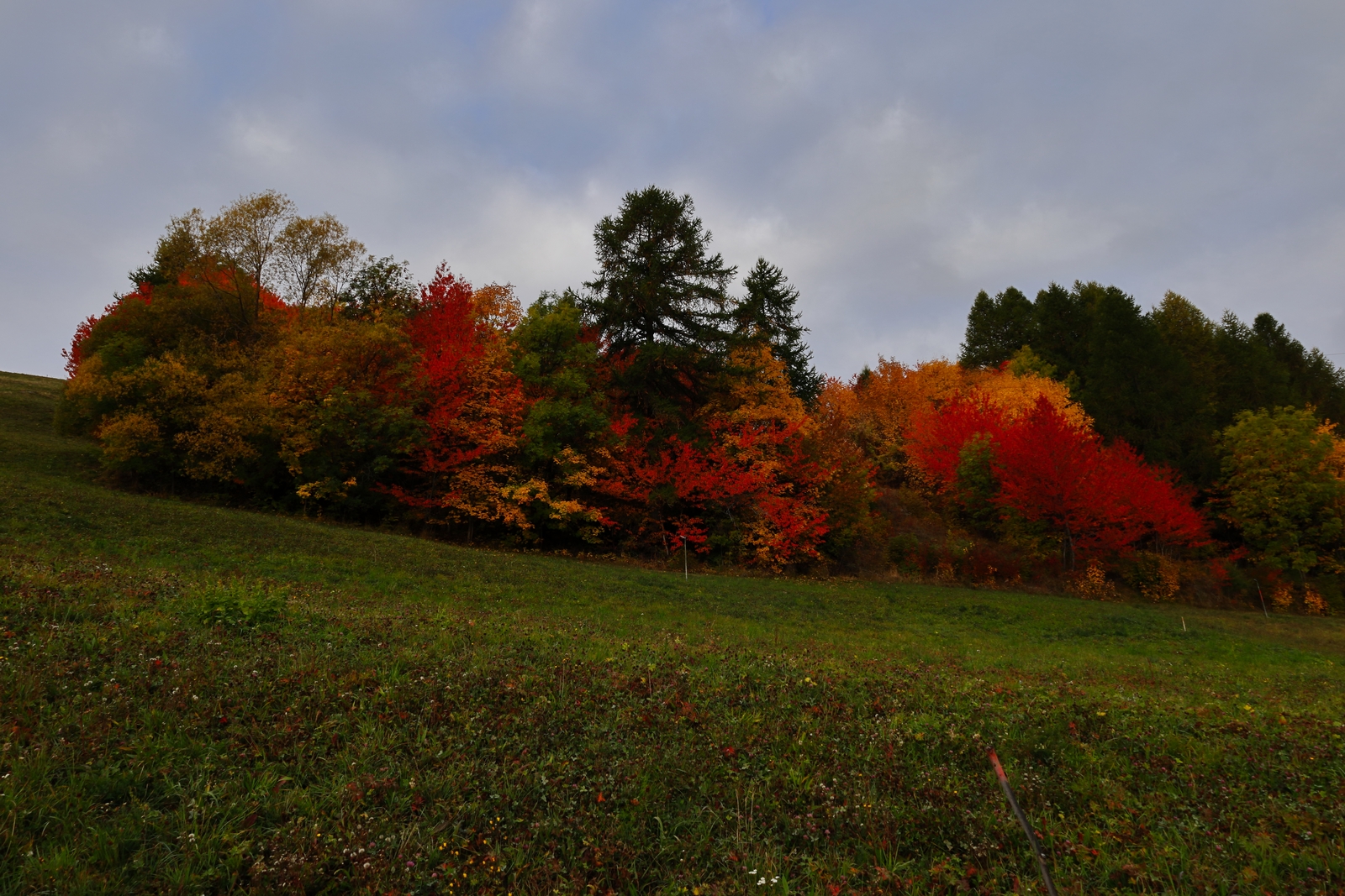 Autumn in Aosta Valley