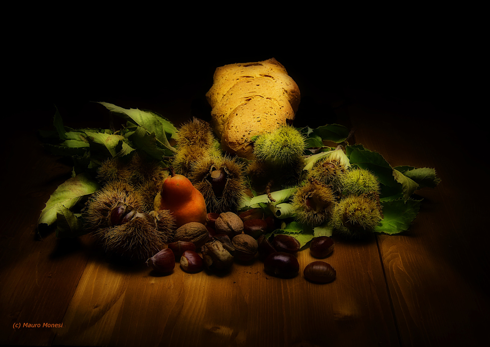 Colori del sottobosco