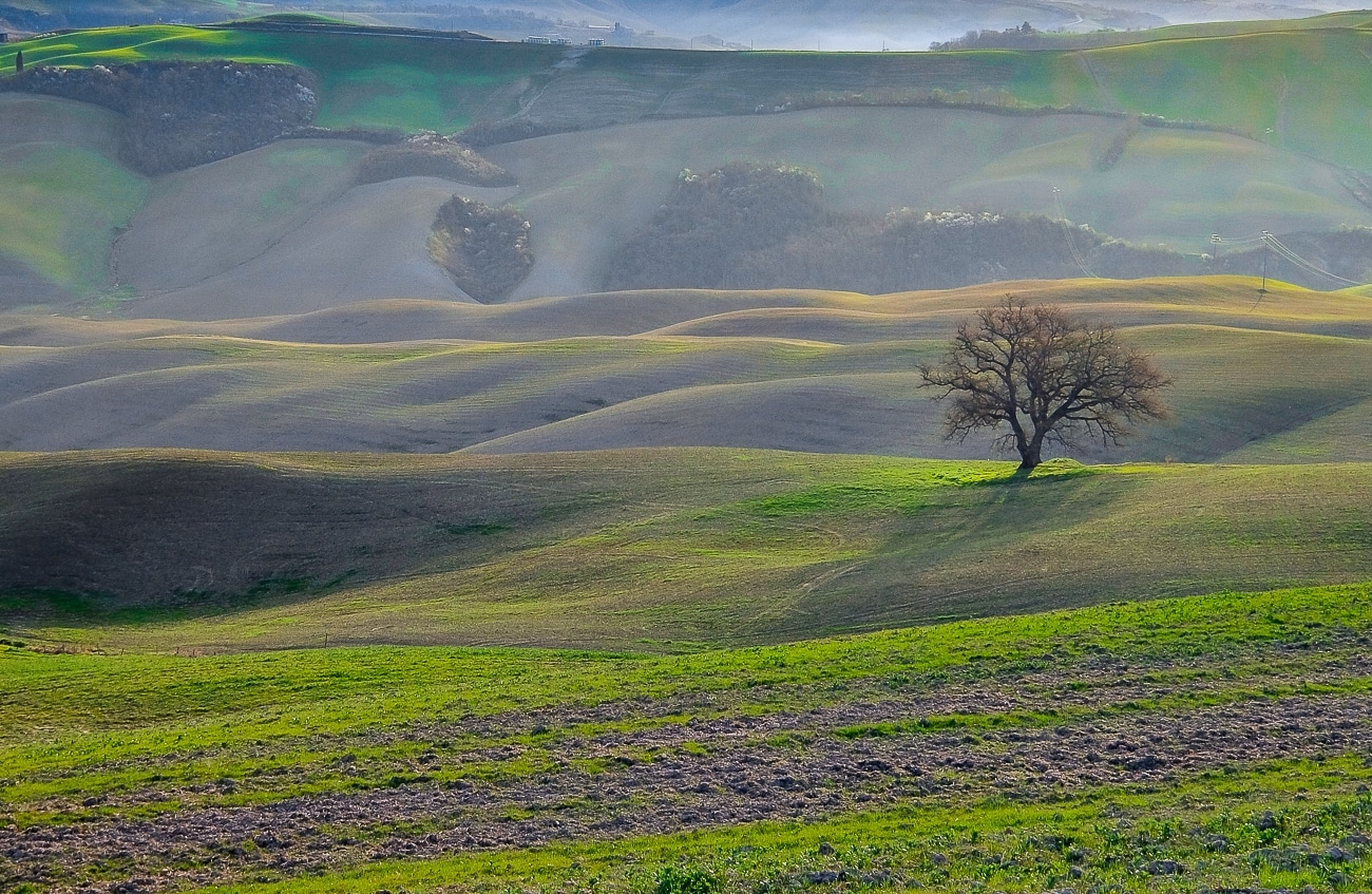 The Crete Senesi