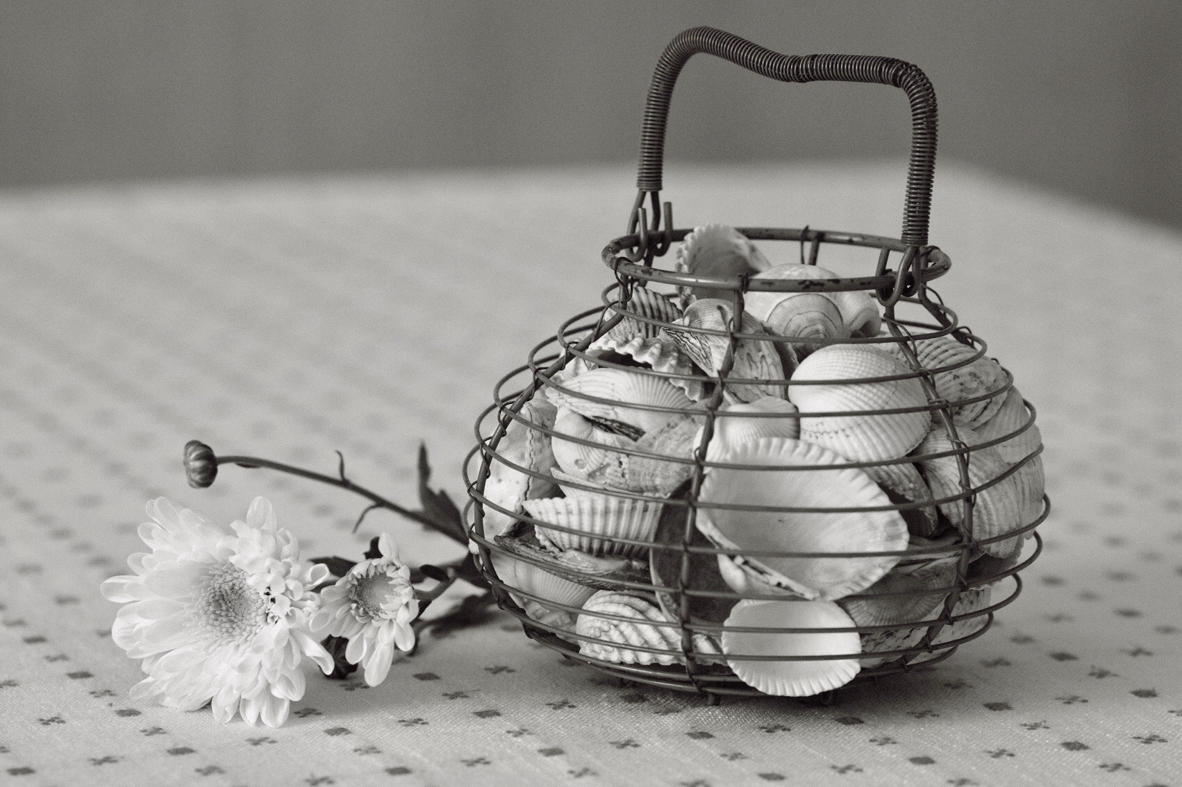 Things from other houses