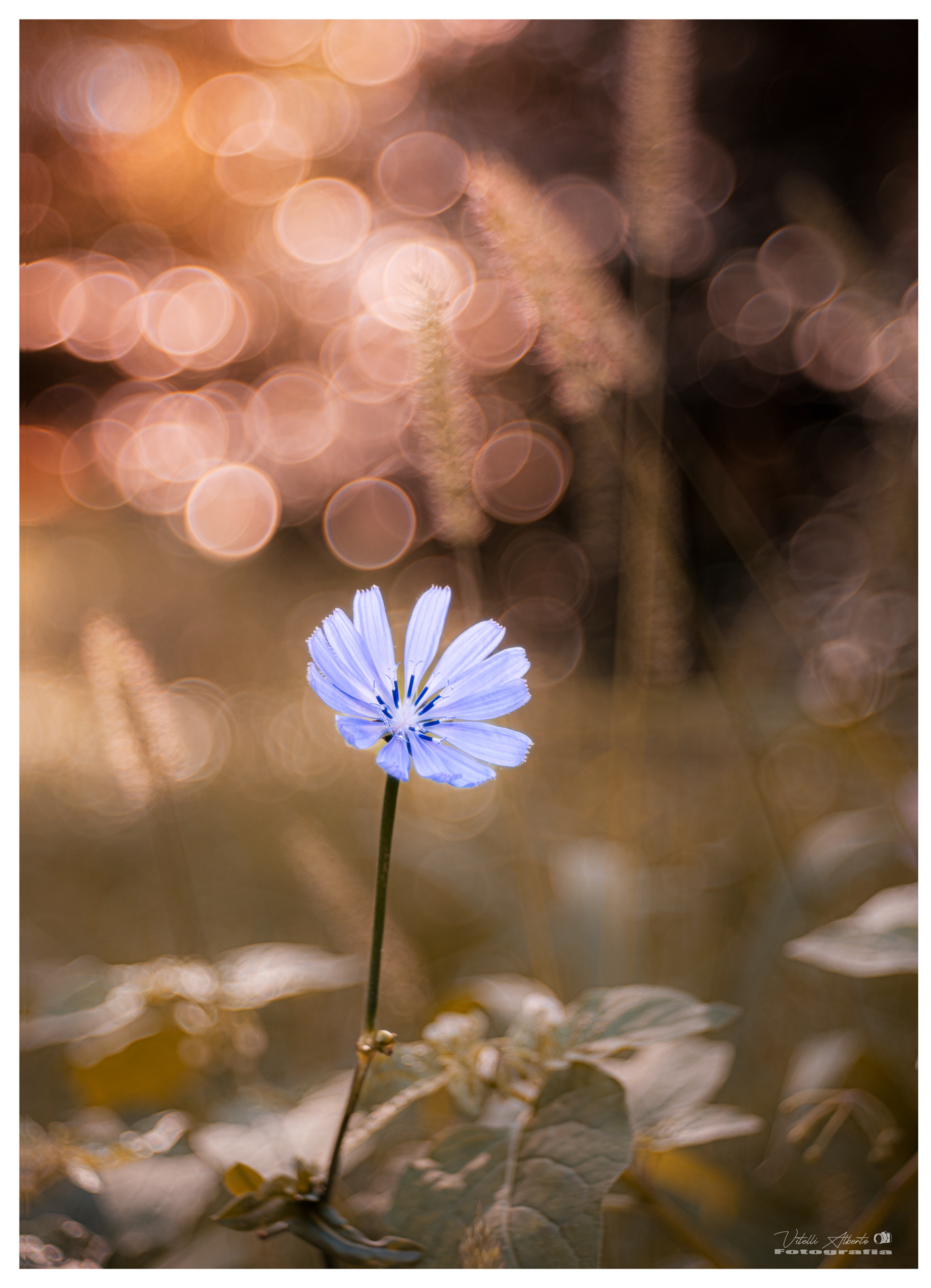 A morning in October