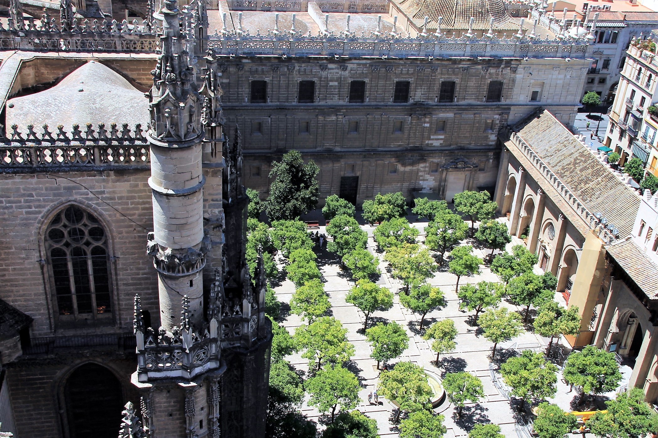 Il giardino degli aranci