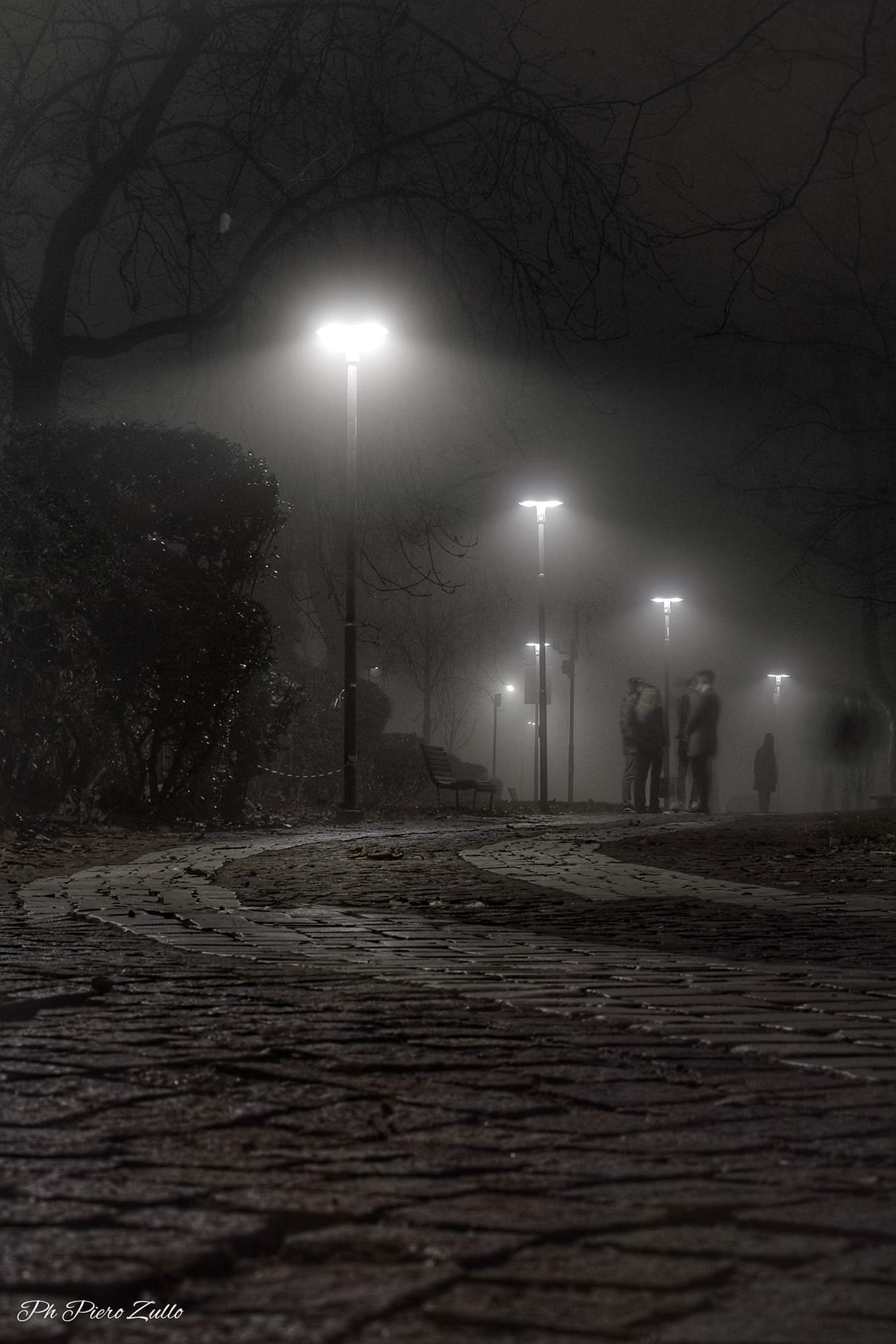 Due chiacchiere nella nebbia