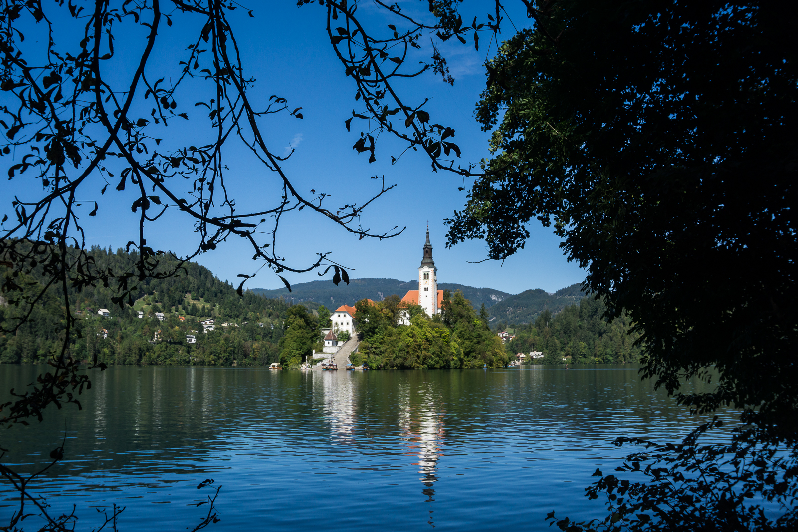 Bled