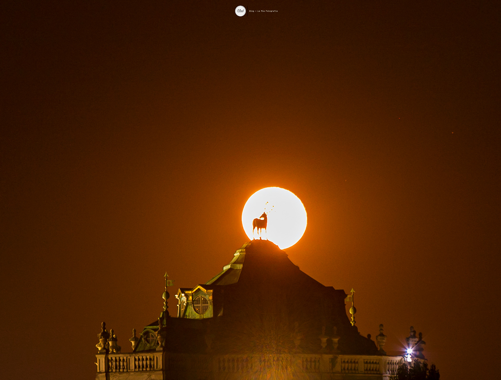 LUNA - Palazzina di Caccia di Stupinigi - To