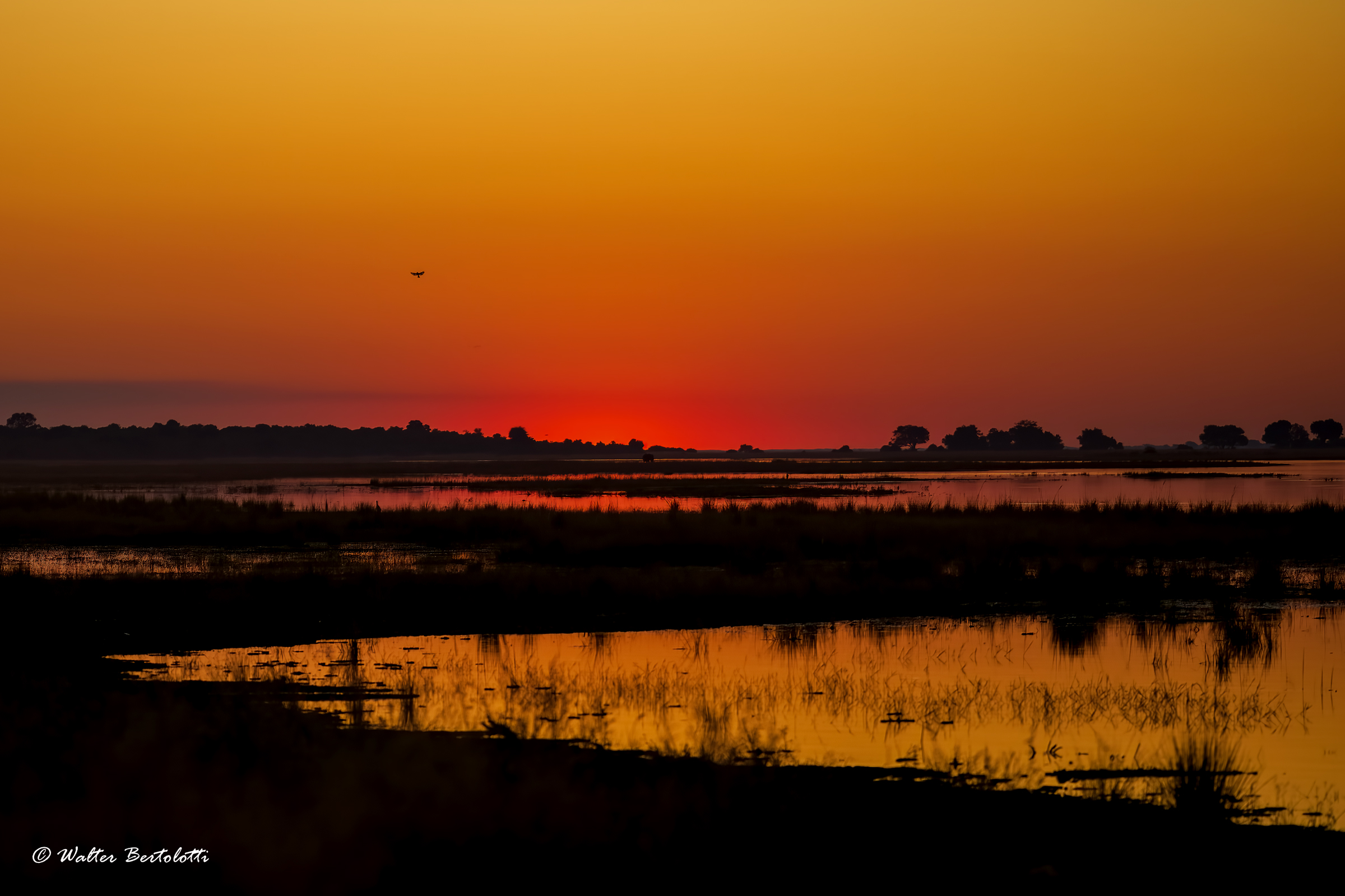 tramonto sul Chobe