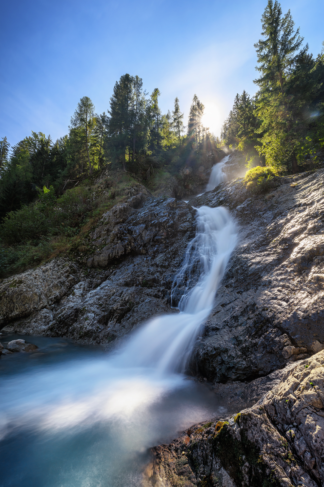 The sap of the earth