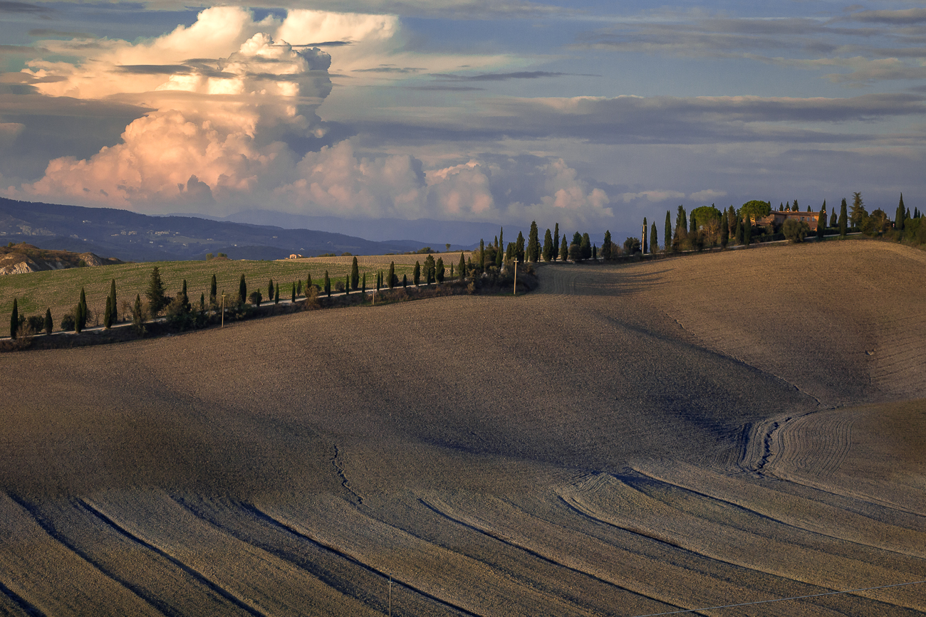 Le Crete Senesi