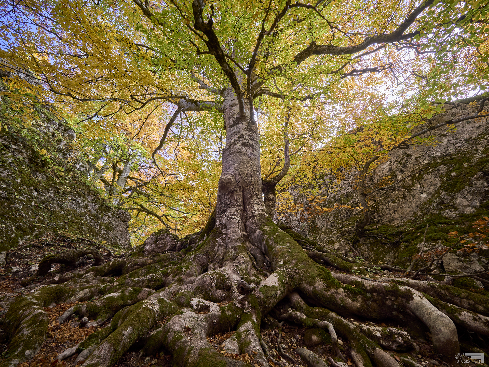 Autunno al Gran Sasso