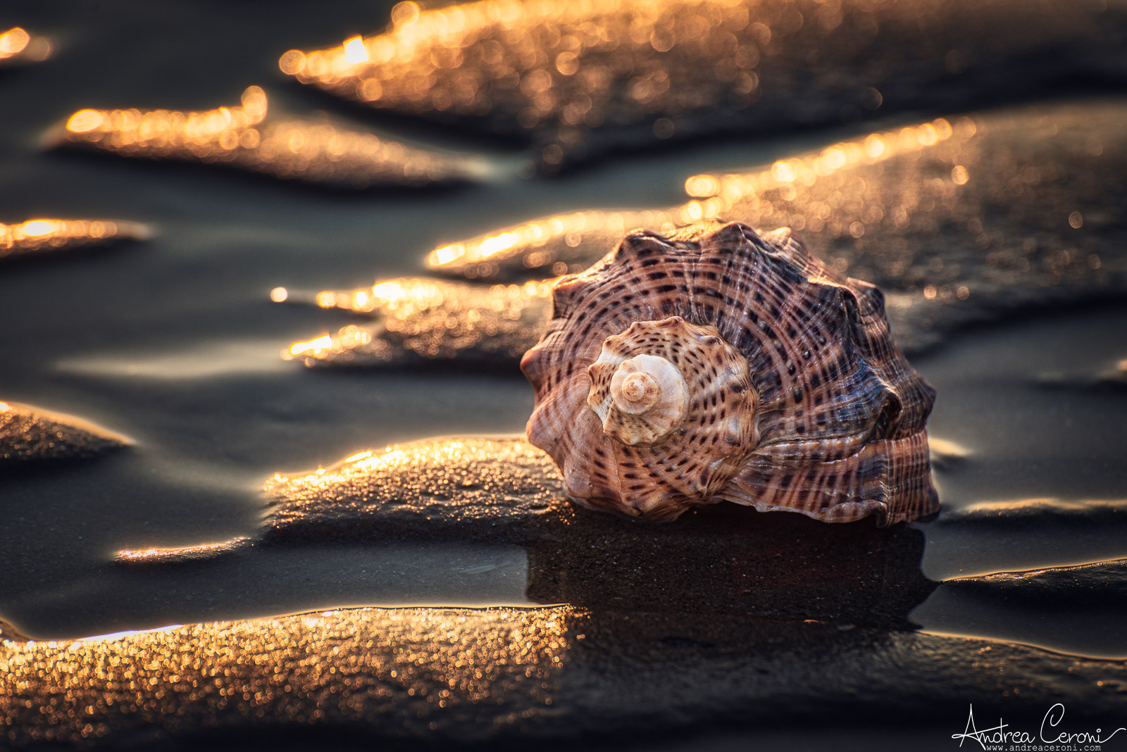 Alternative sunrises