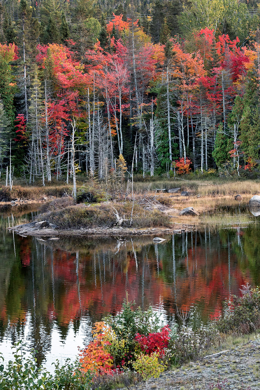 Estate indiana, Quebec