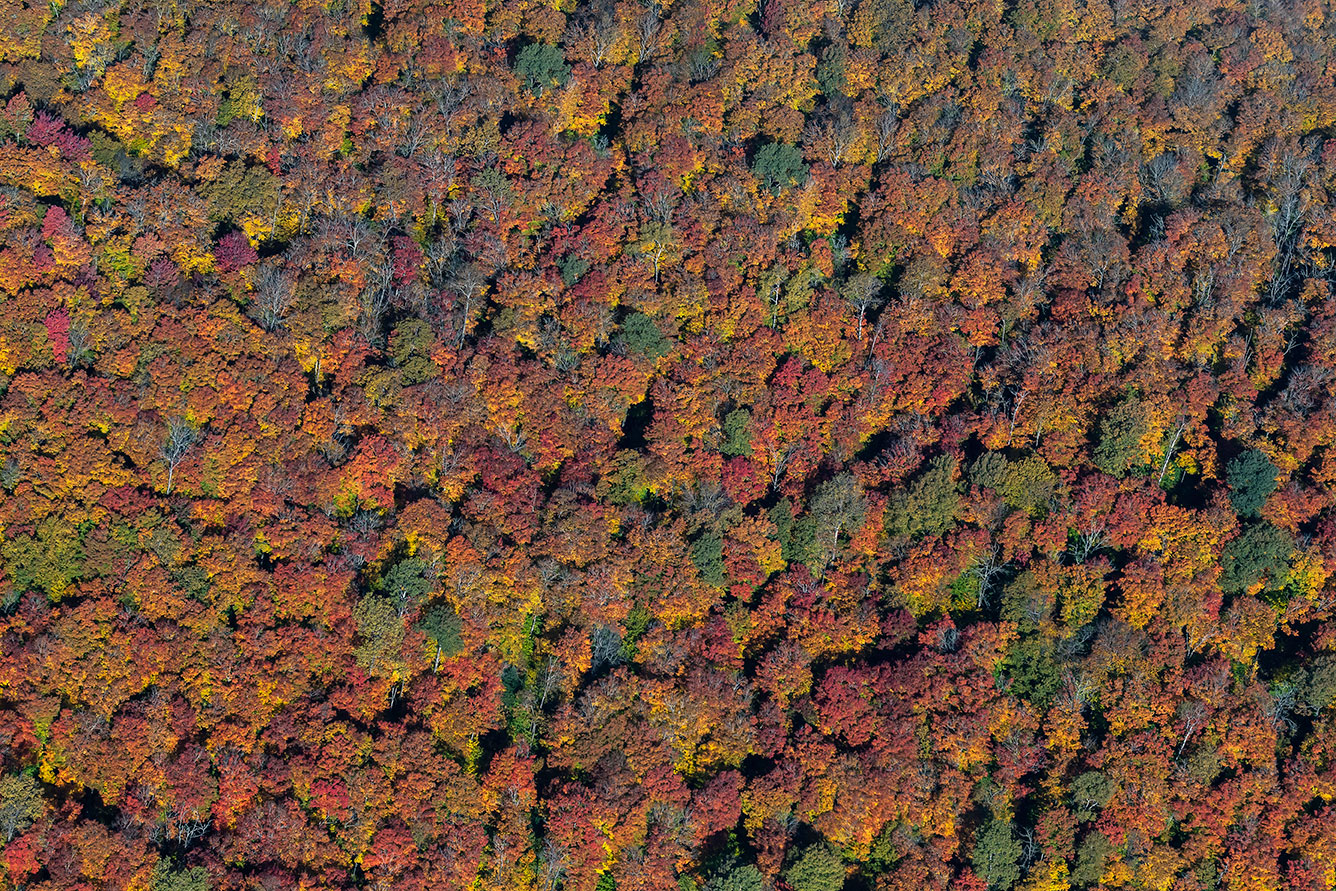 Estate indiana, Quebec