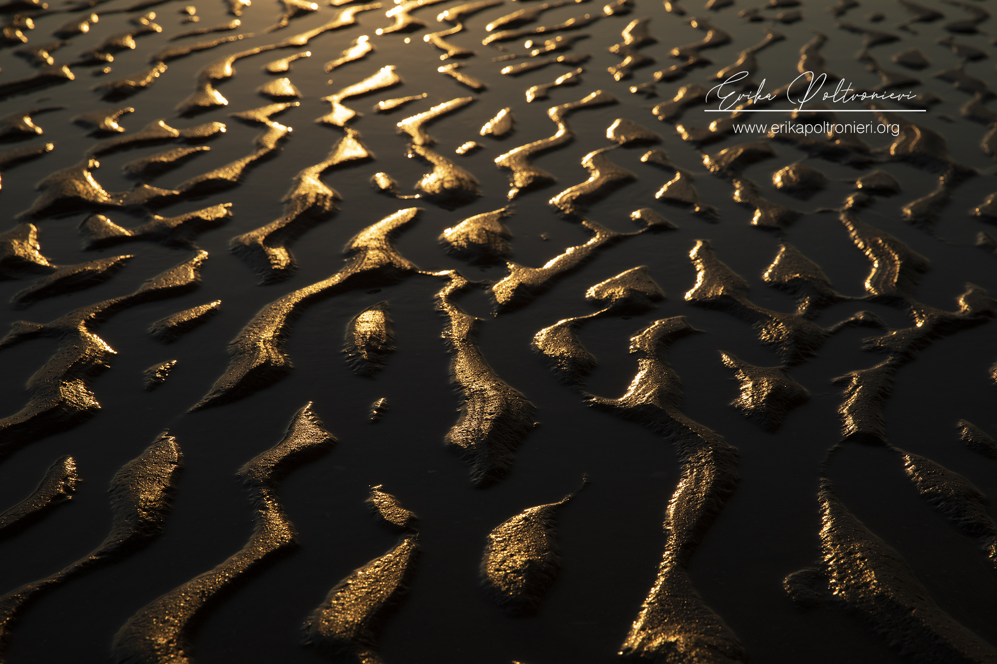 Golden texture