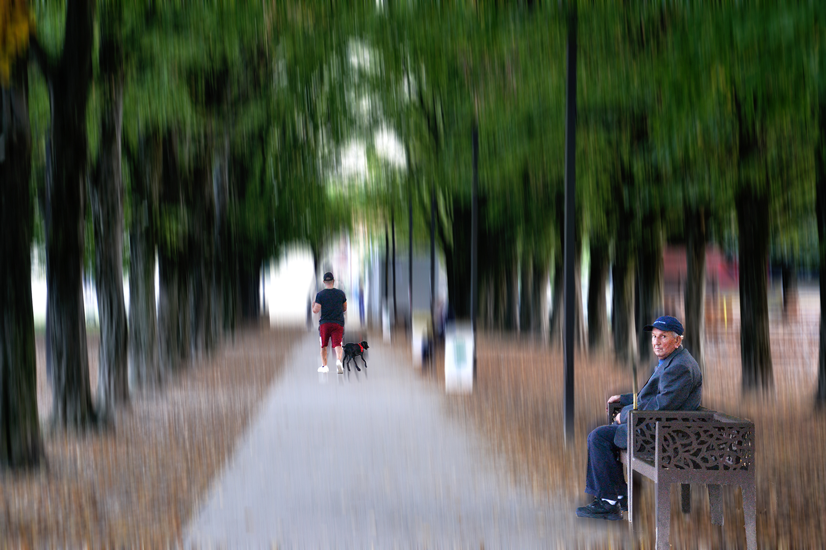 In the avenue