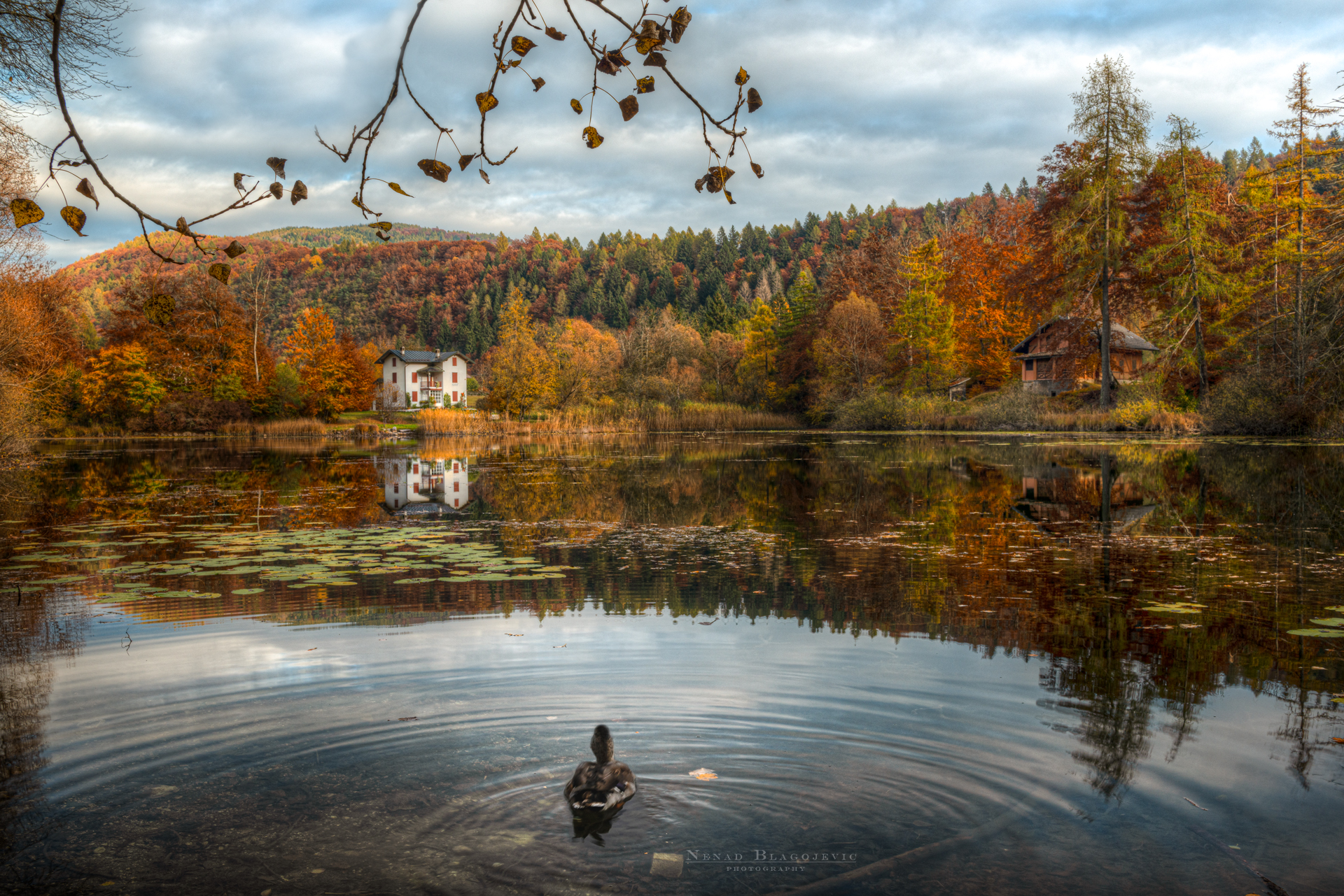 Foliage al Lago di Dei