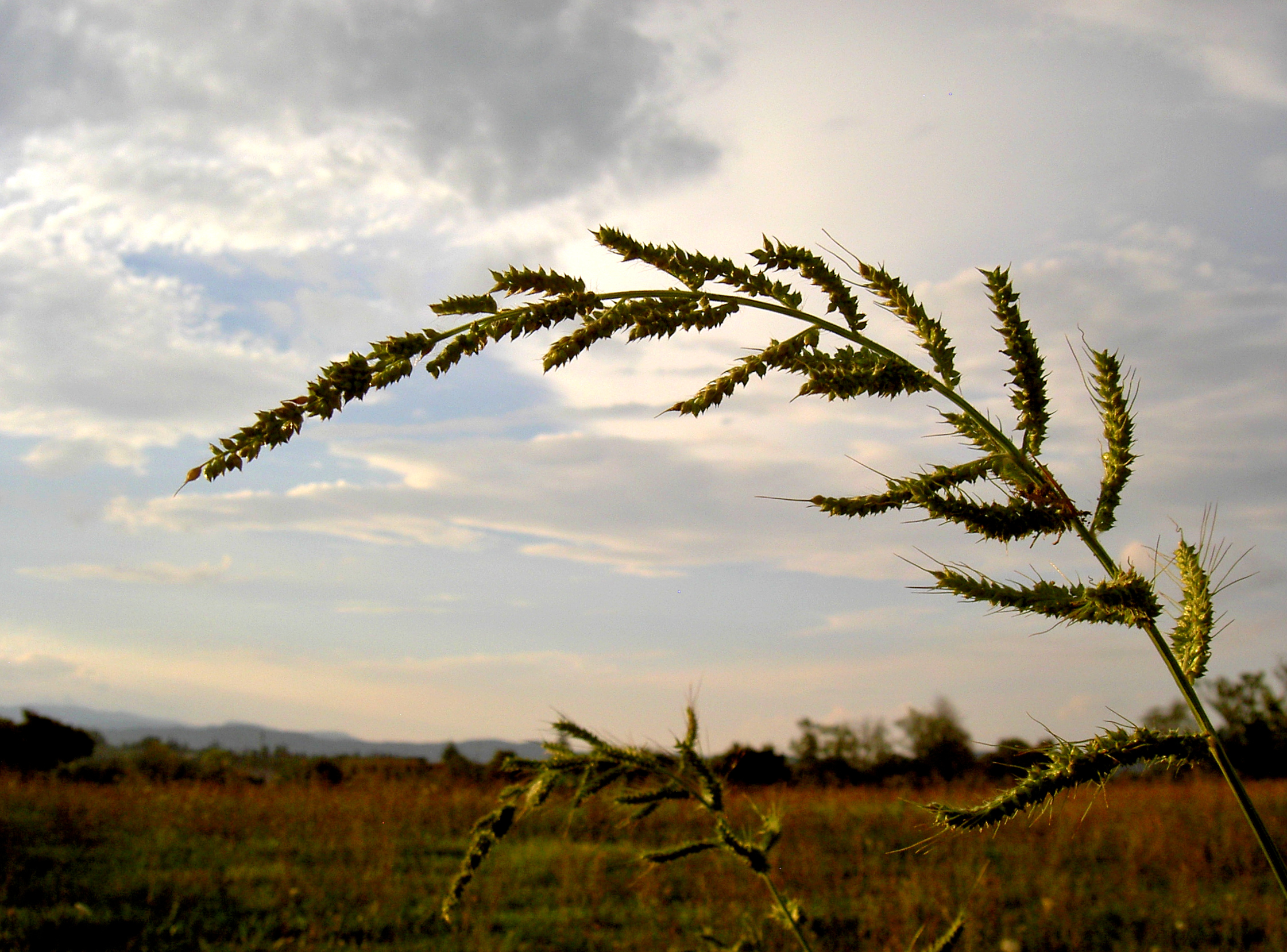 Untitled Photo