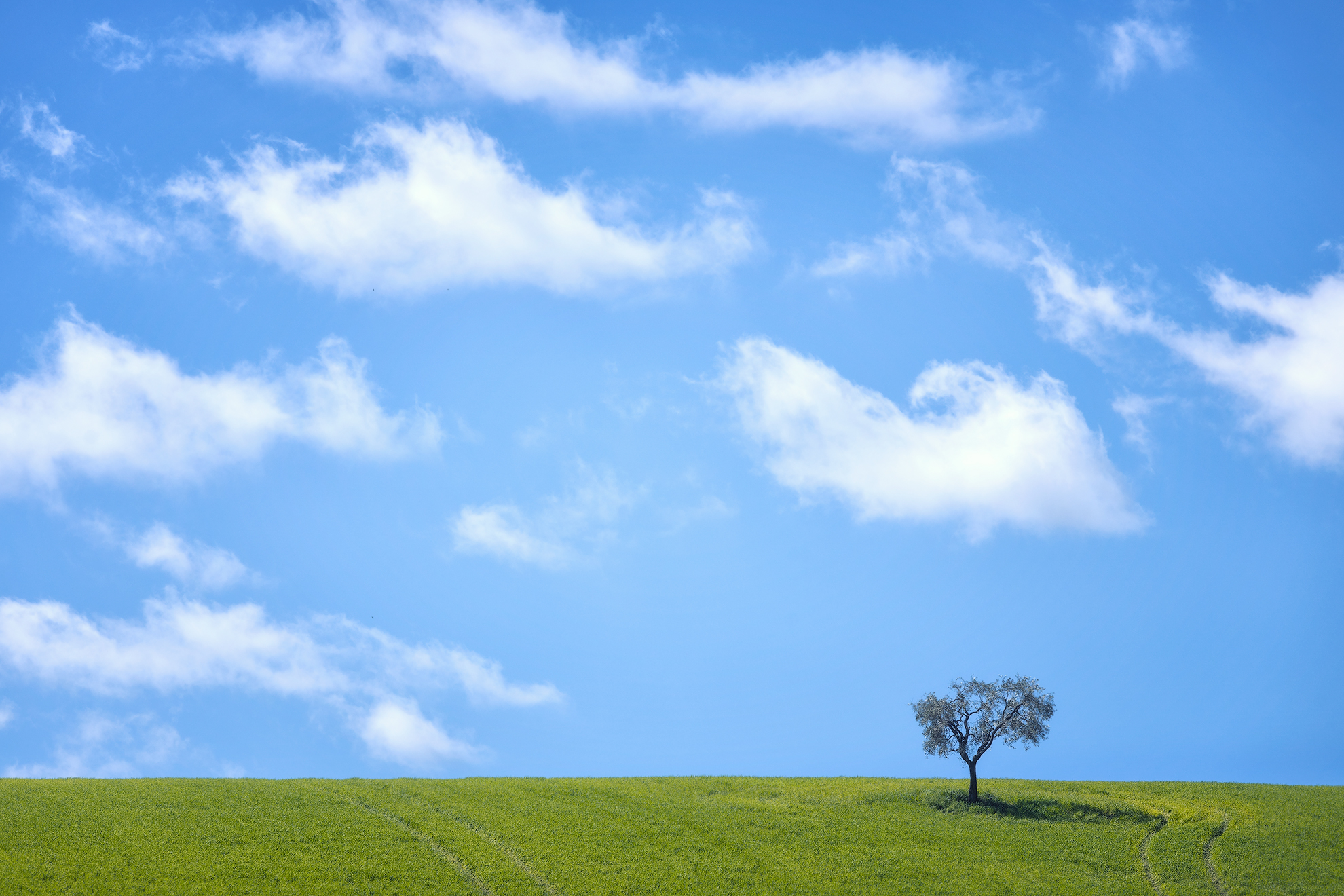 Campagne fermane