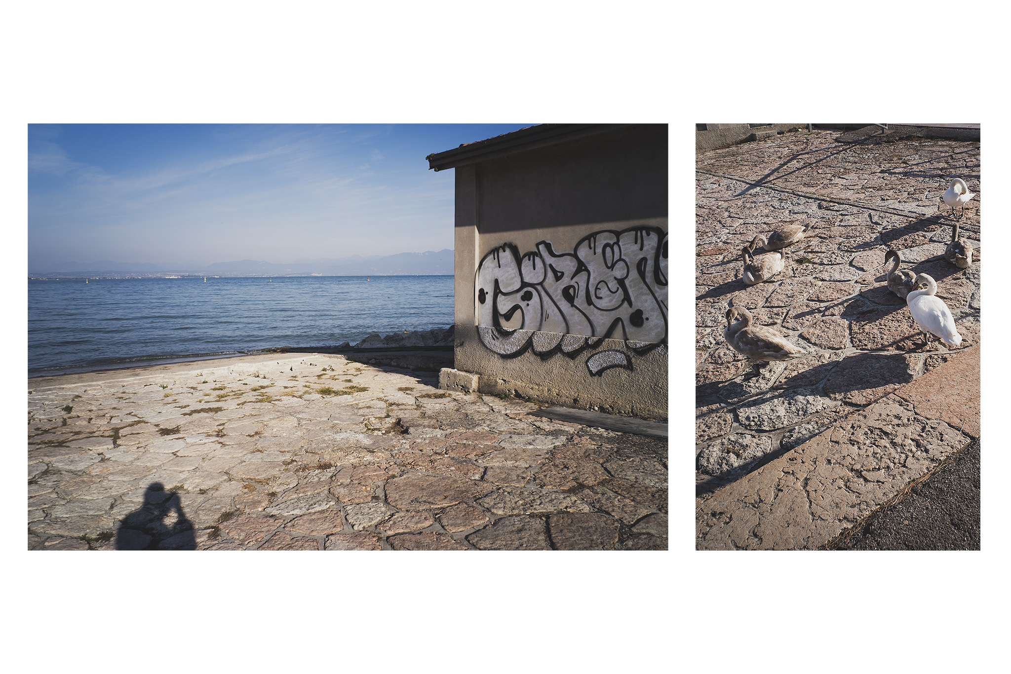 Untitled Photo