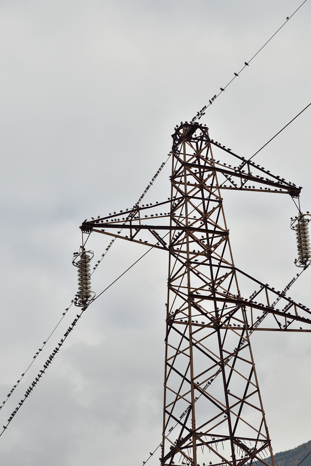 10 ottobre 2022...la partenza