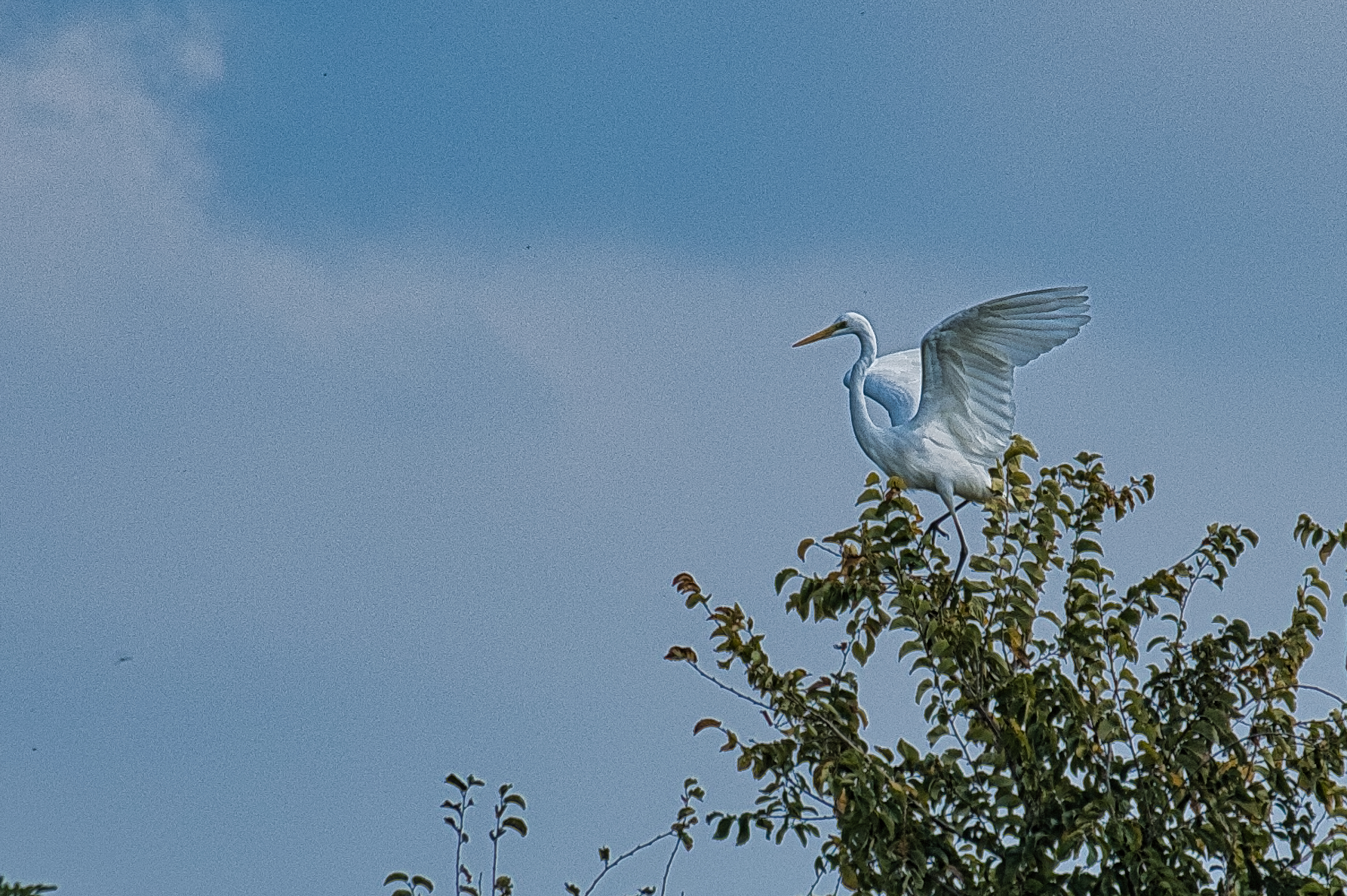 Vi osservo dall'alto