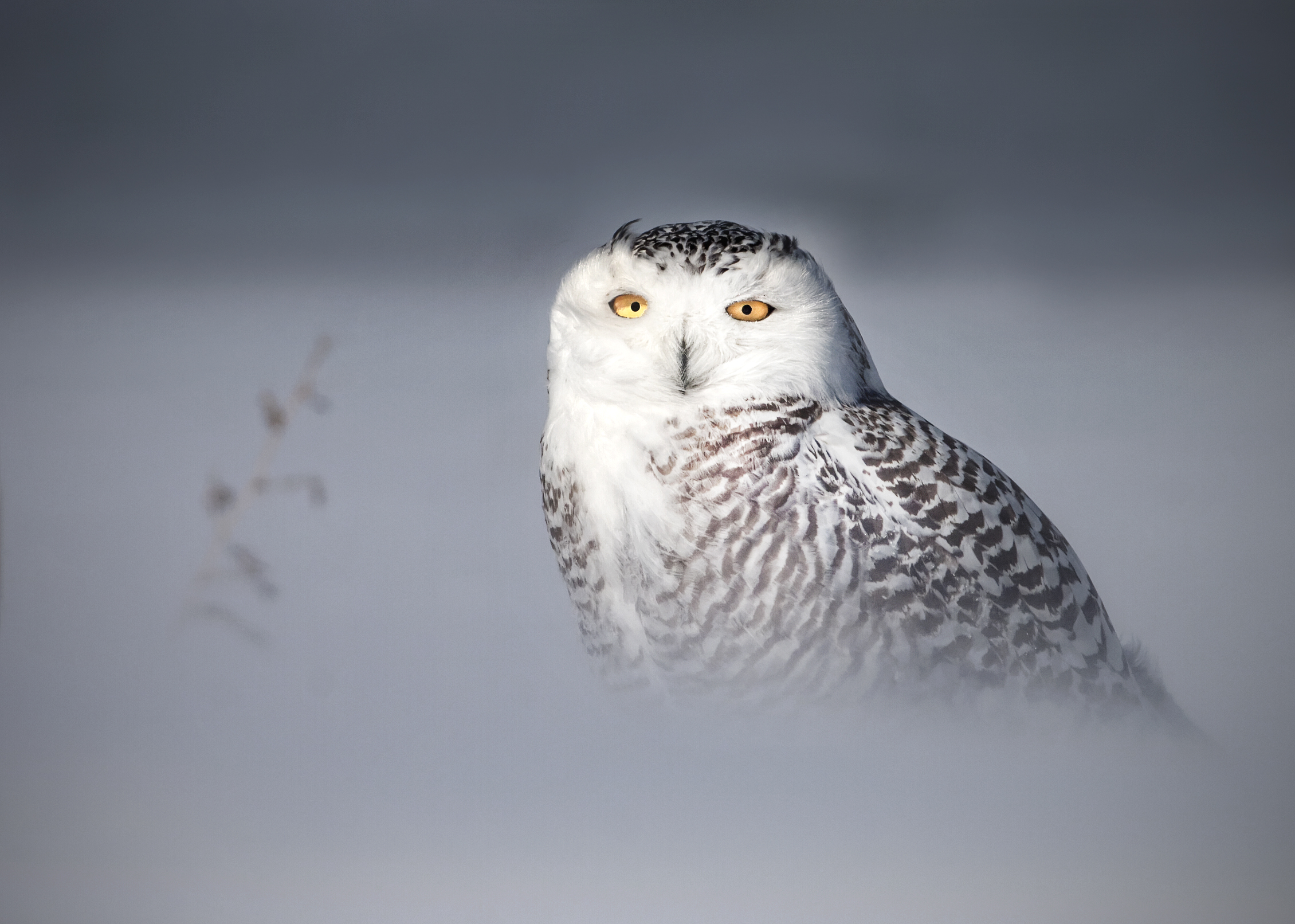 Cold, cloudy and windy