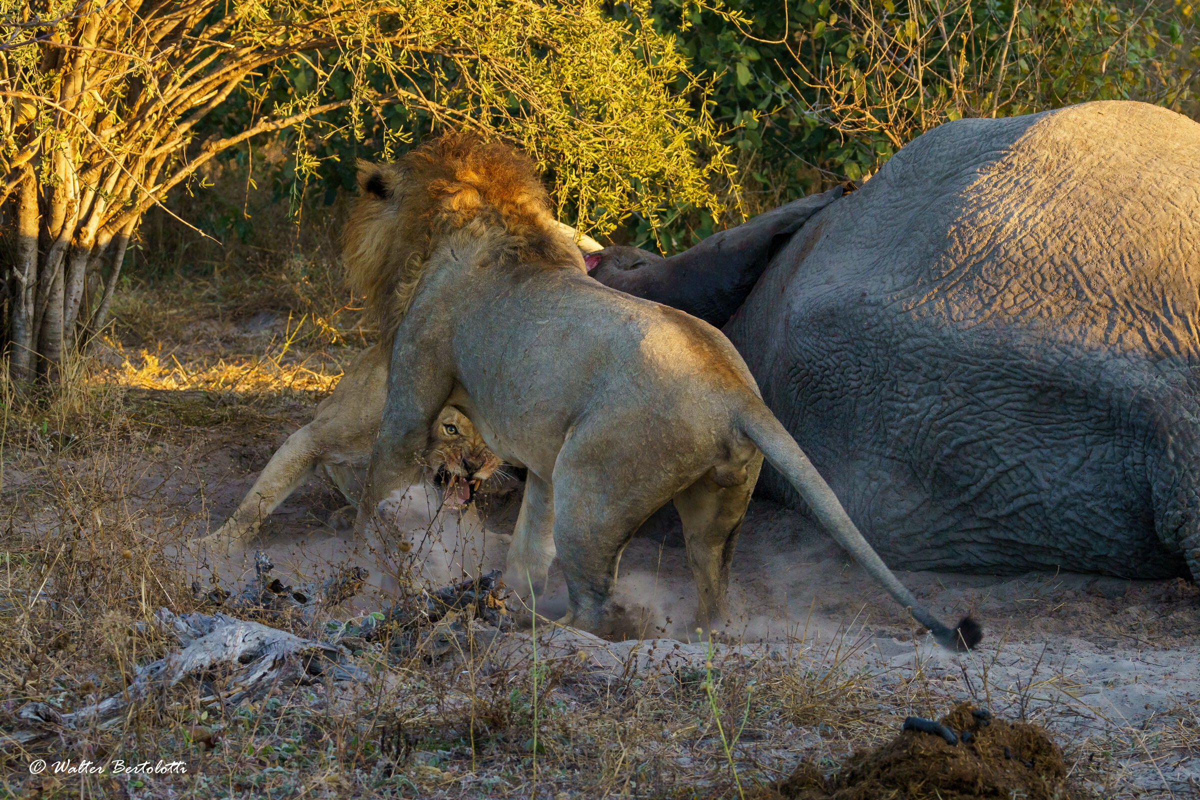 discussioni a tavola
