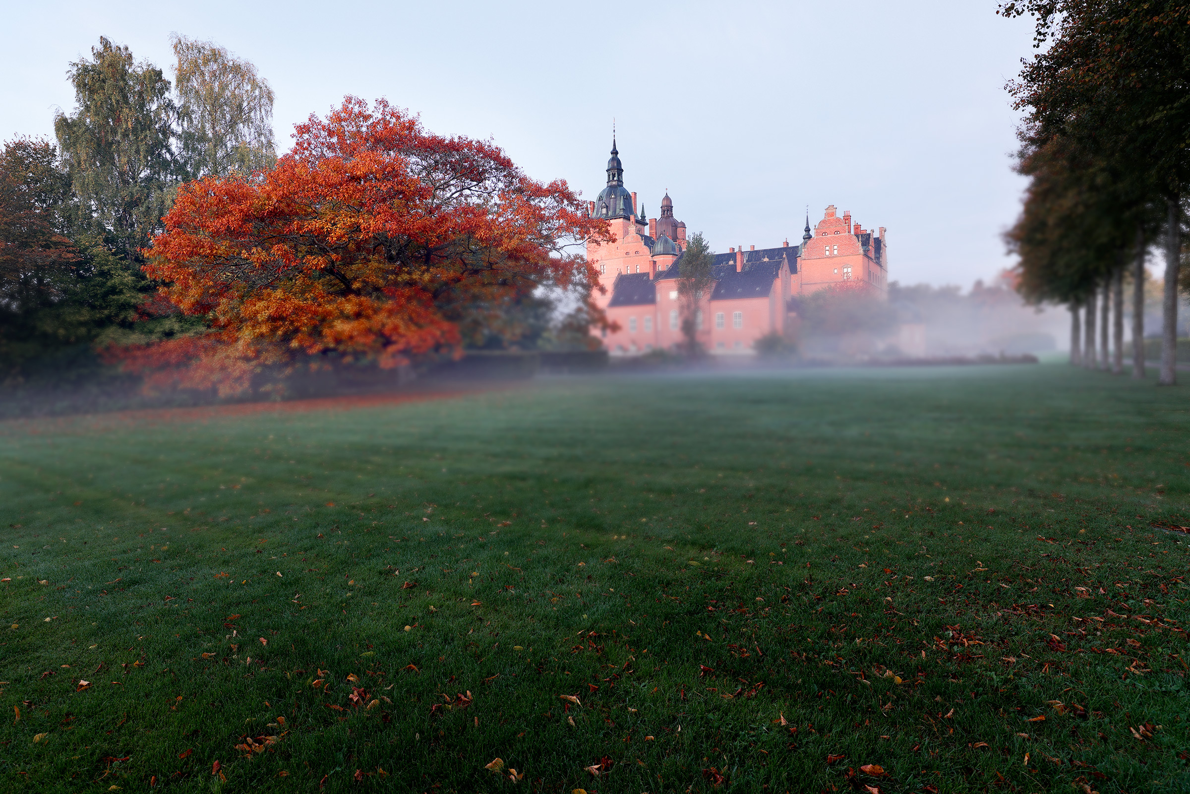 Castello nebbia e foliage