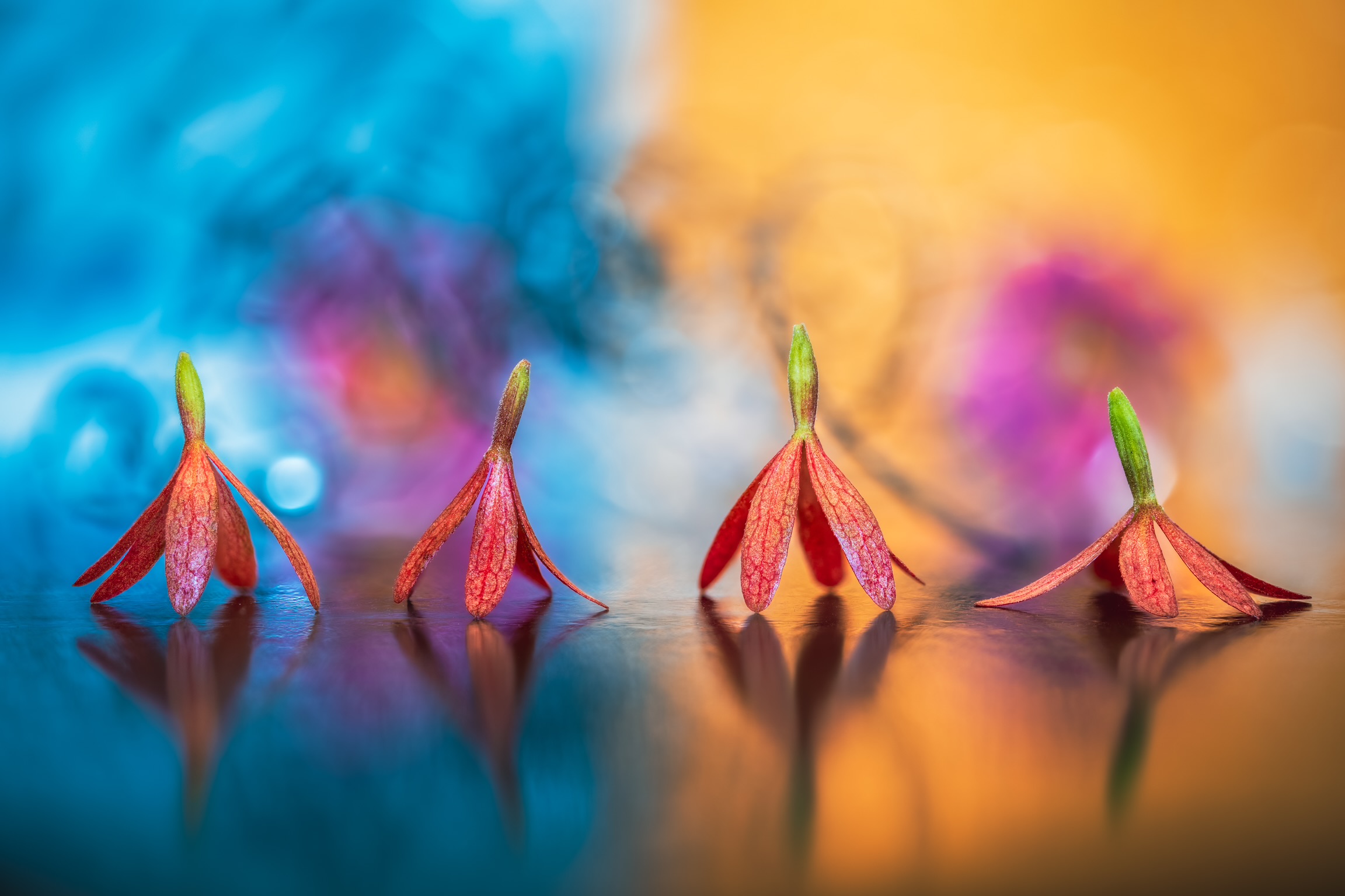 Dancing between colors