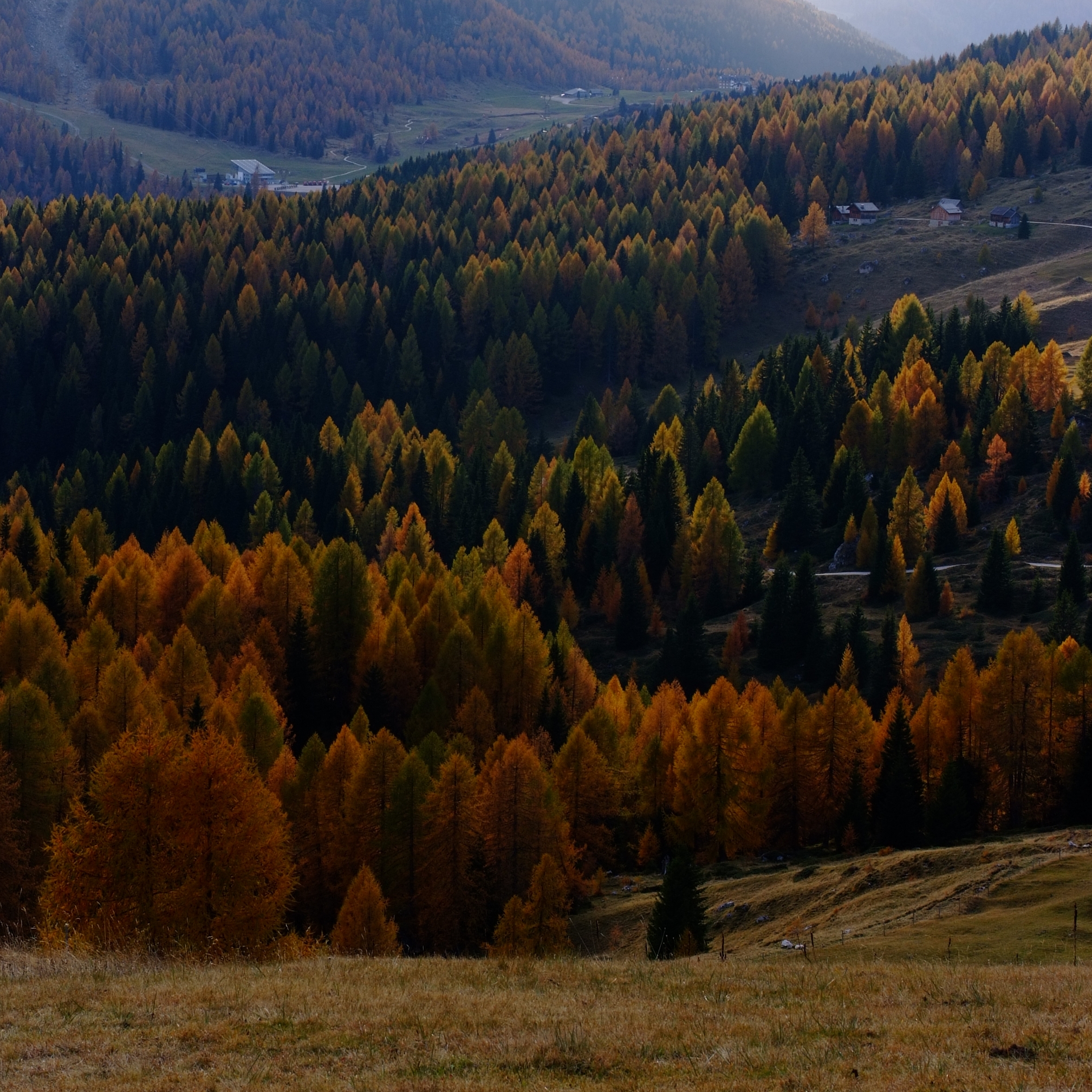 Untitled Photo