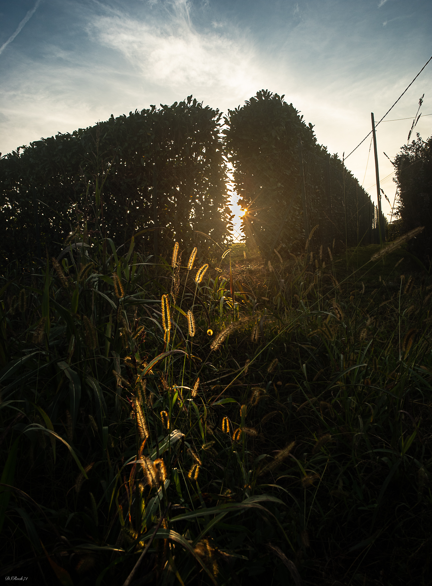 Light in the passage