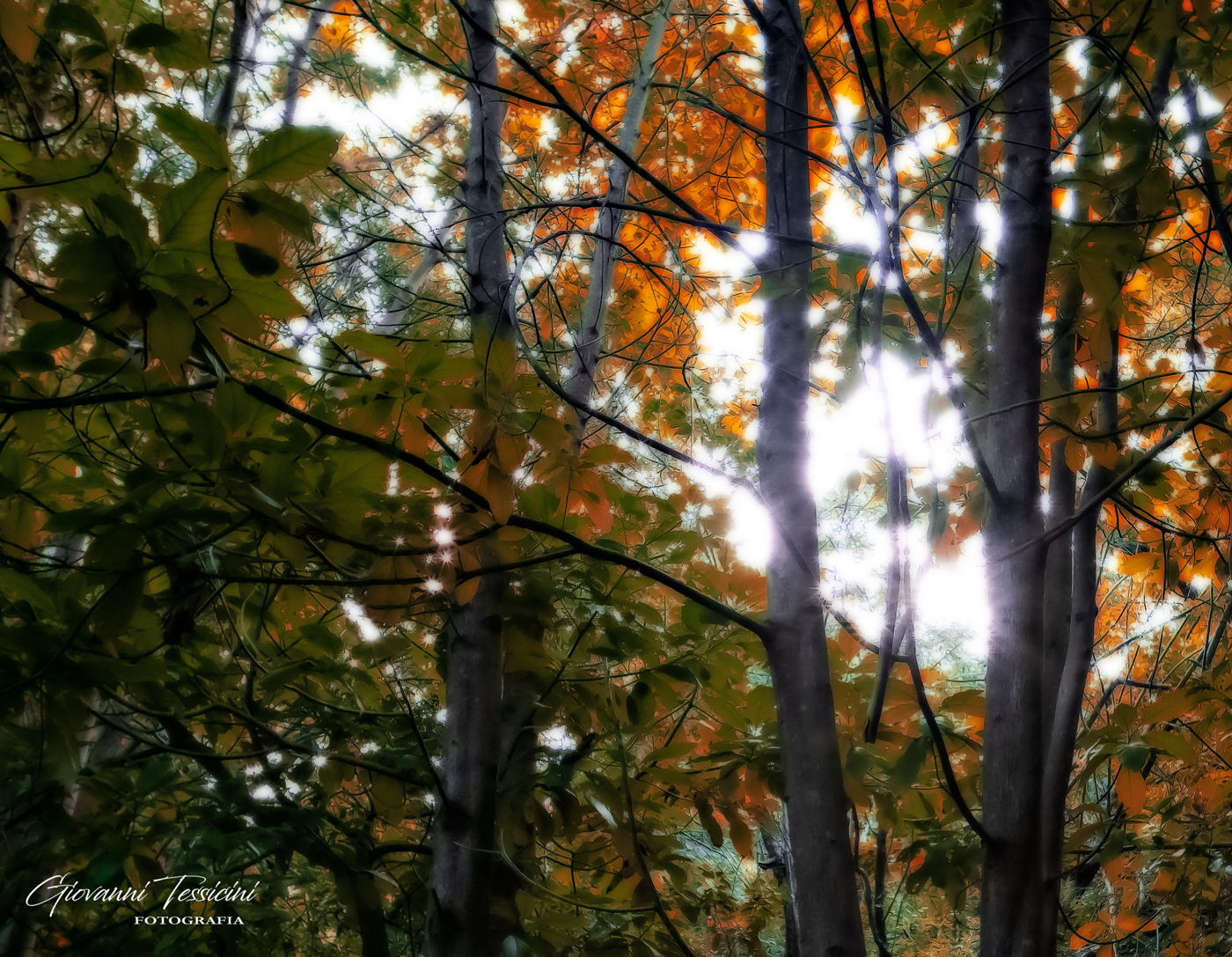 Autumn