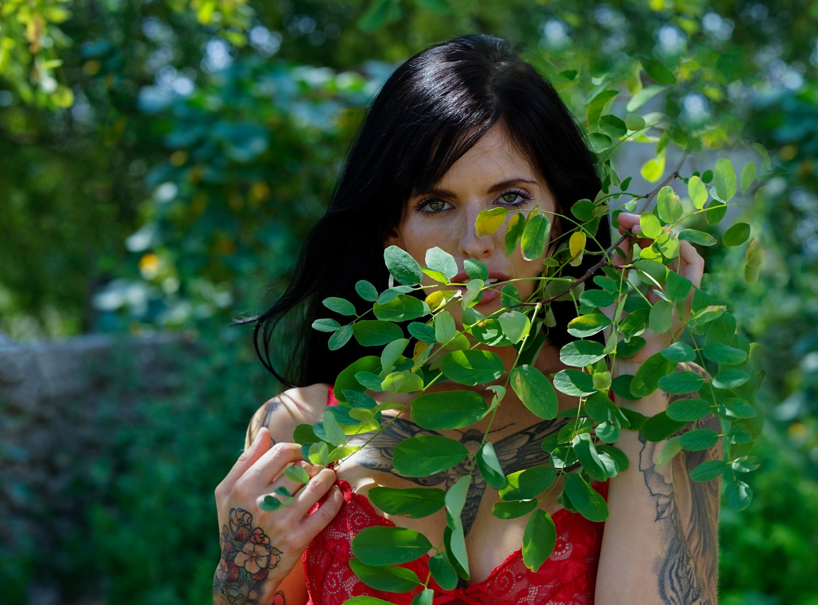 Looking through the Leaves