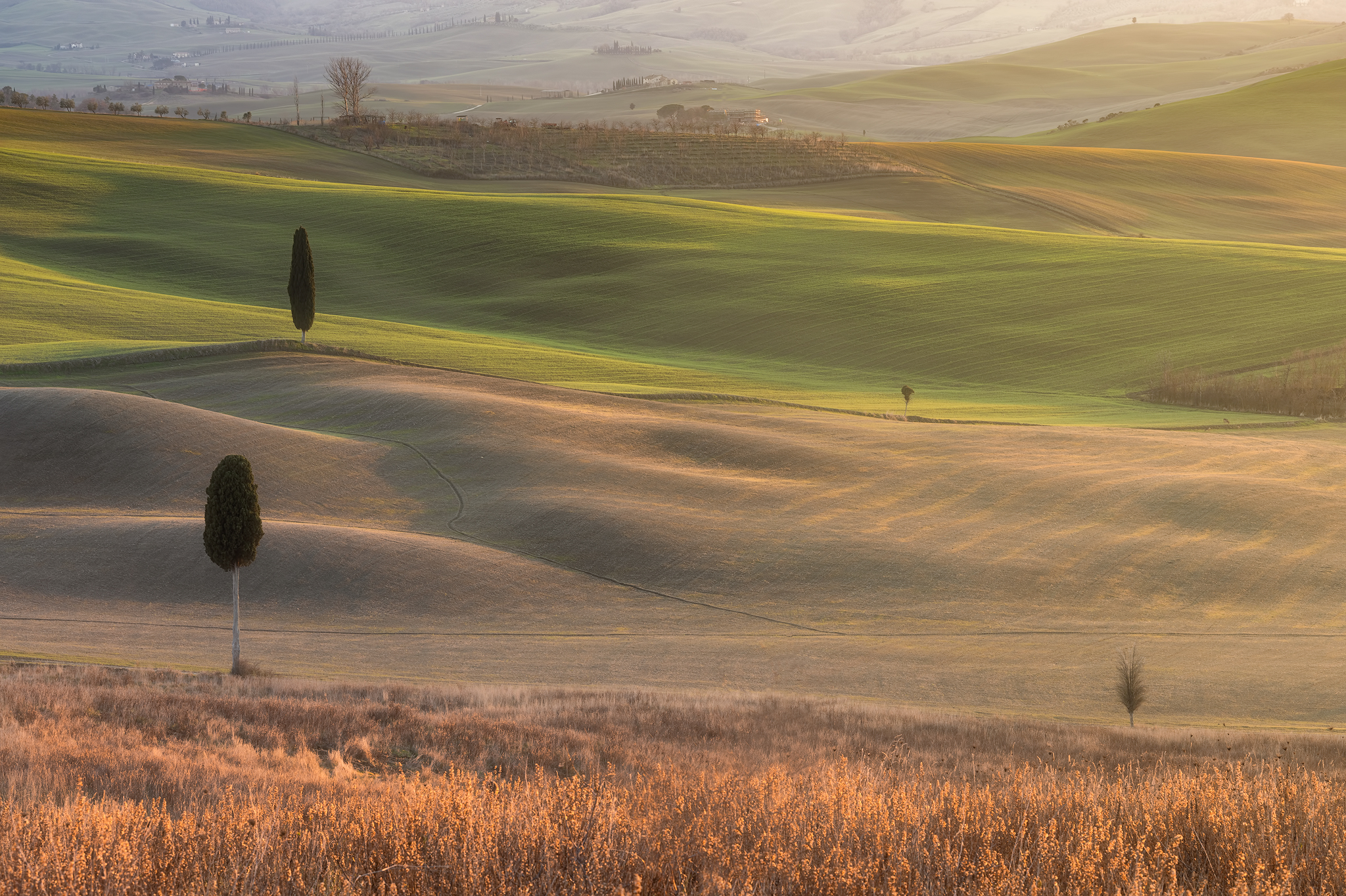 The soft hills of the Val d'Orcia.