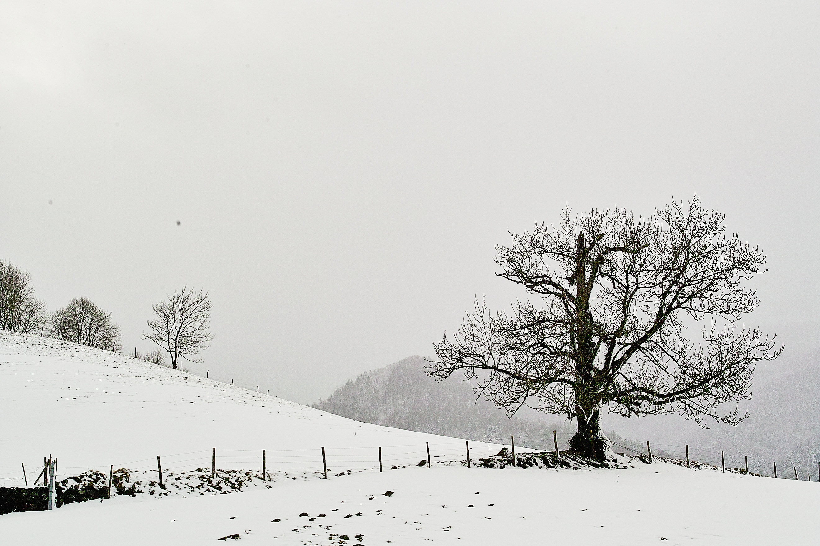 shots from the world