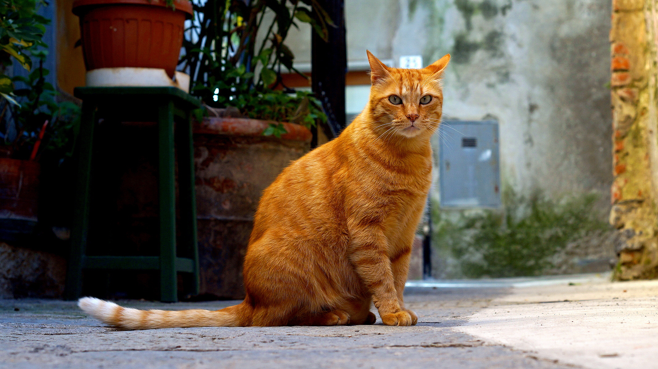 Sempre all'occhio il biondo!!!