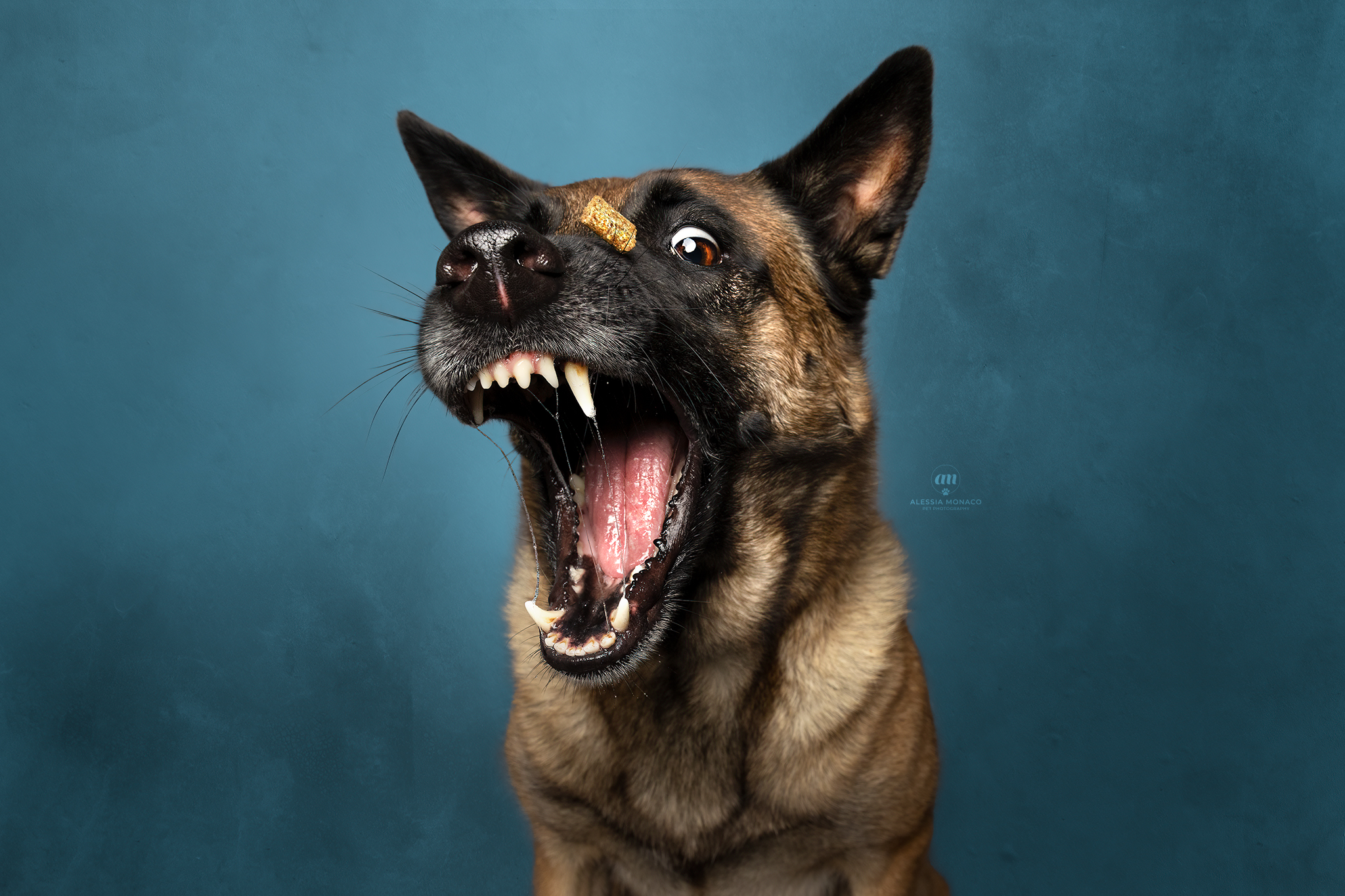 Ponneke, on the fly!