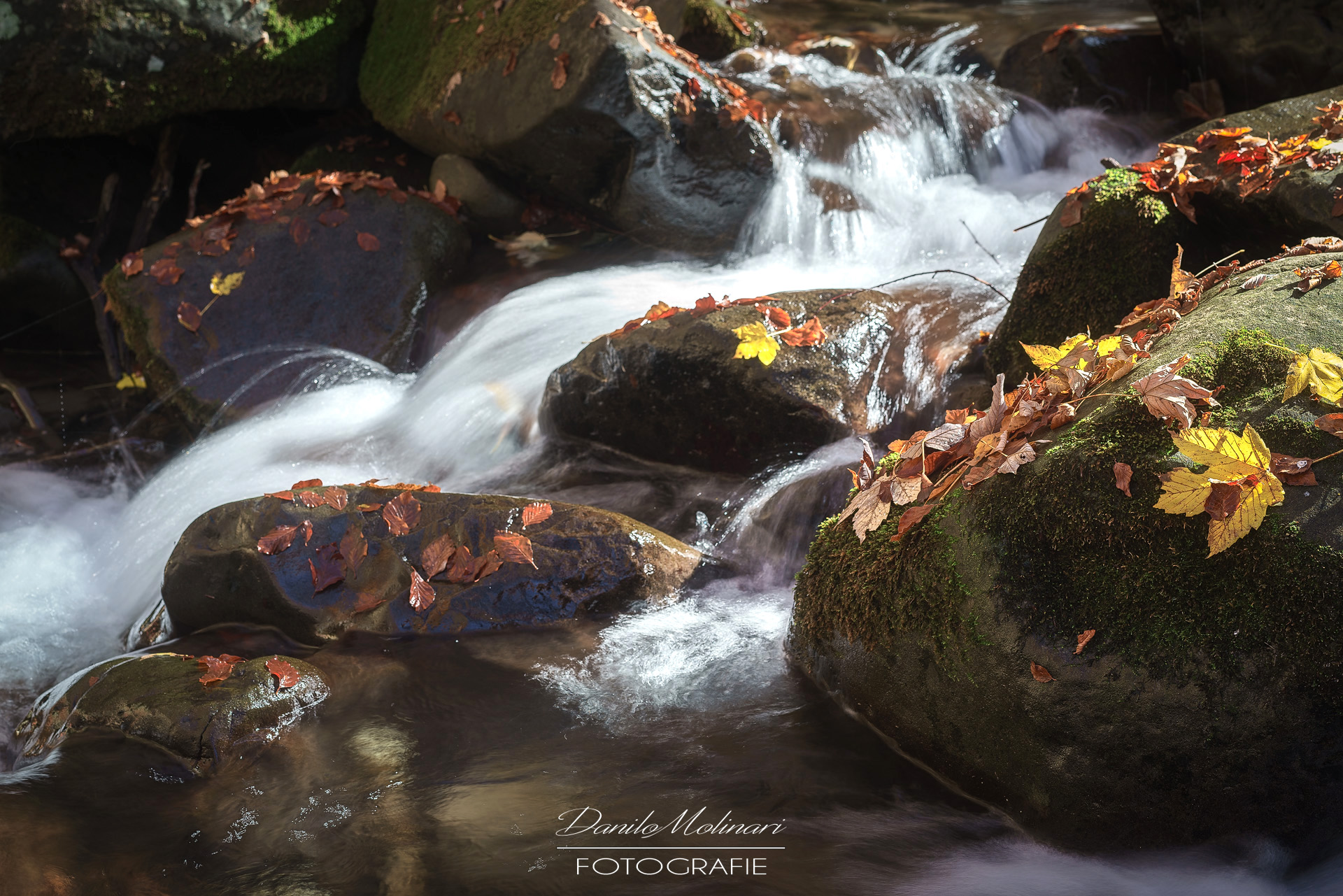 Dardagna waterfalls particular
