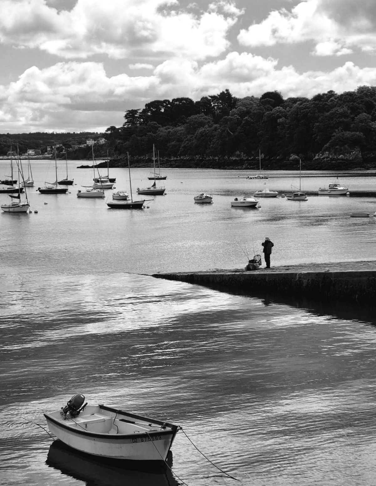 Il pescatore solitario