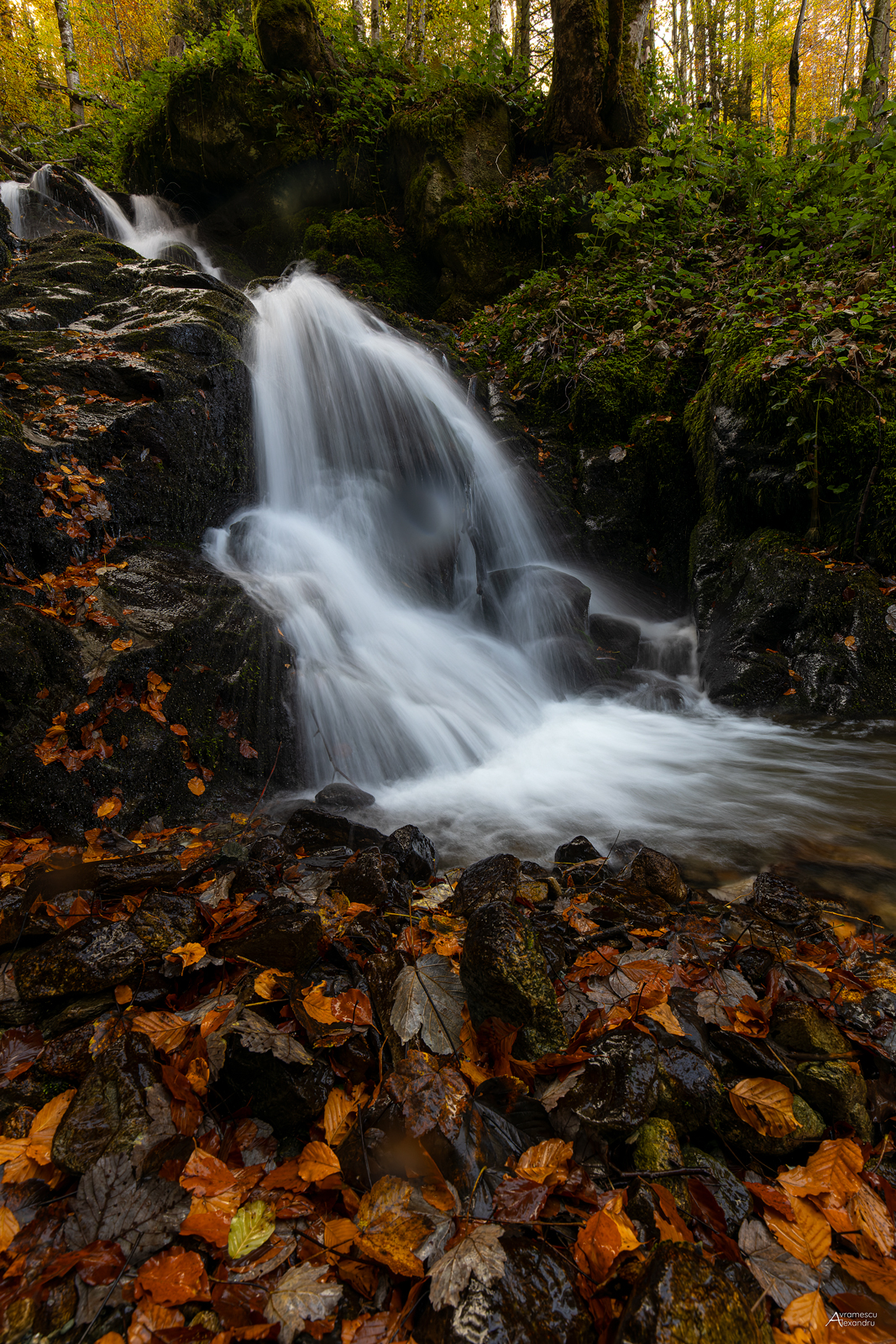 Ropote Falls Romania
