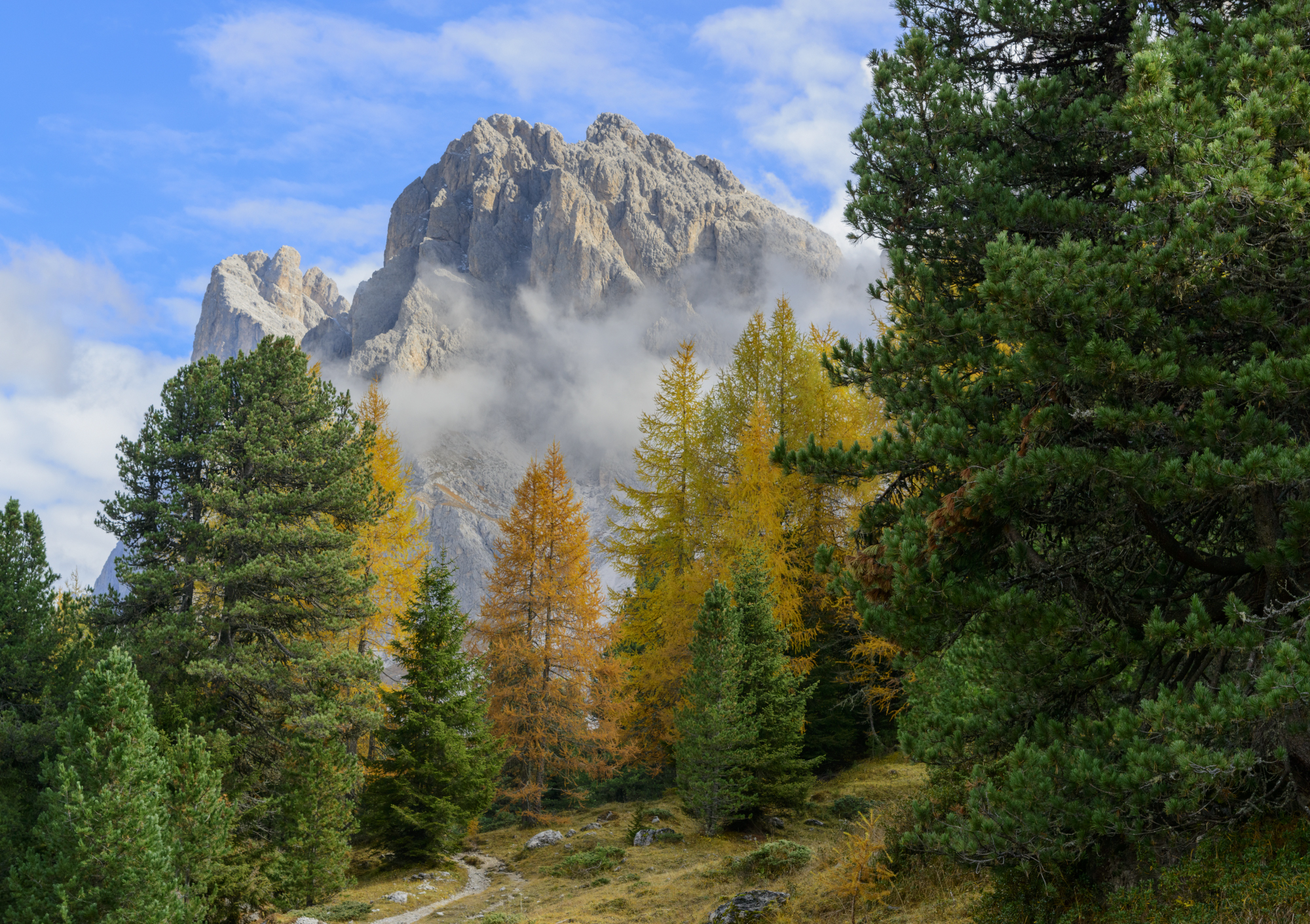 Colori autunnali Alto Adige
