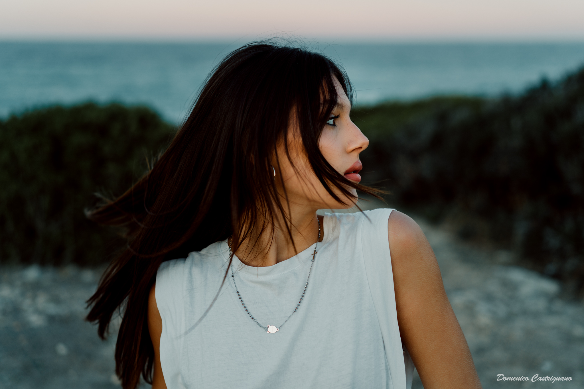 a7 III 55mm