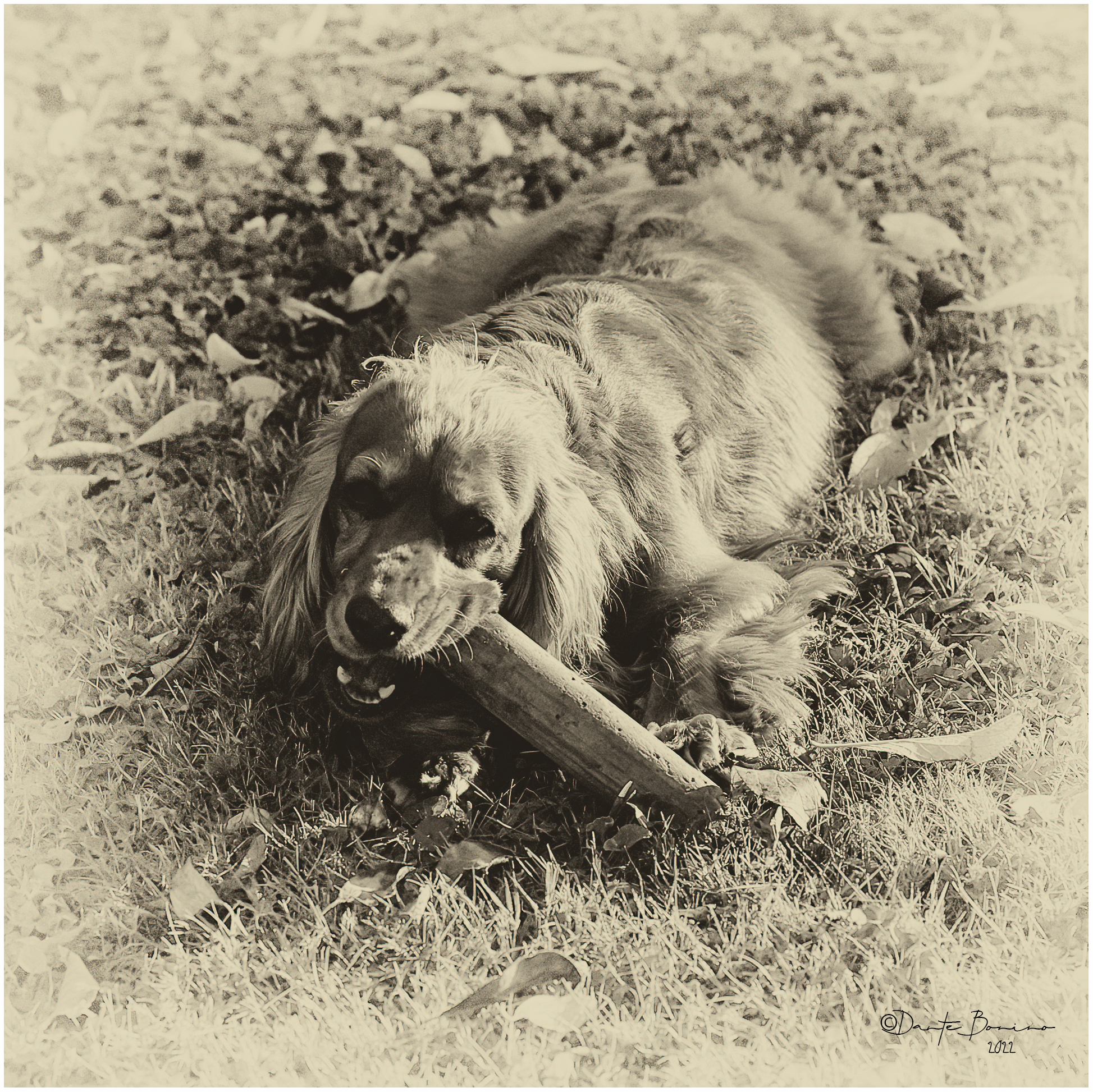 But how hungry she is...