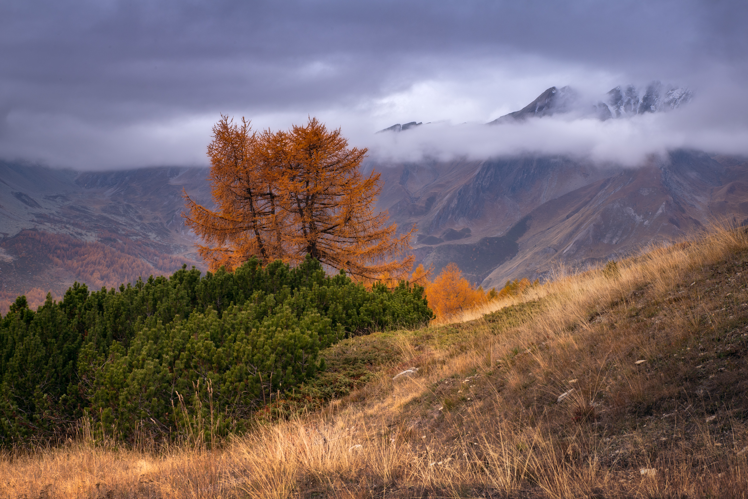 Passeggiando dentro l'Autunno