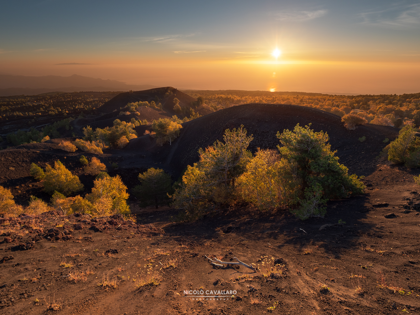 Autumn at the Sartorius