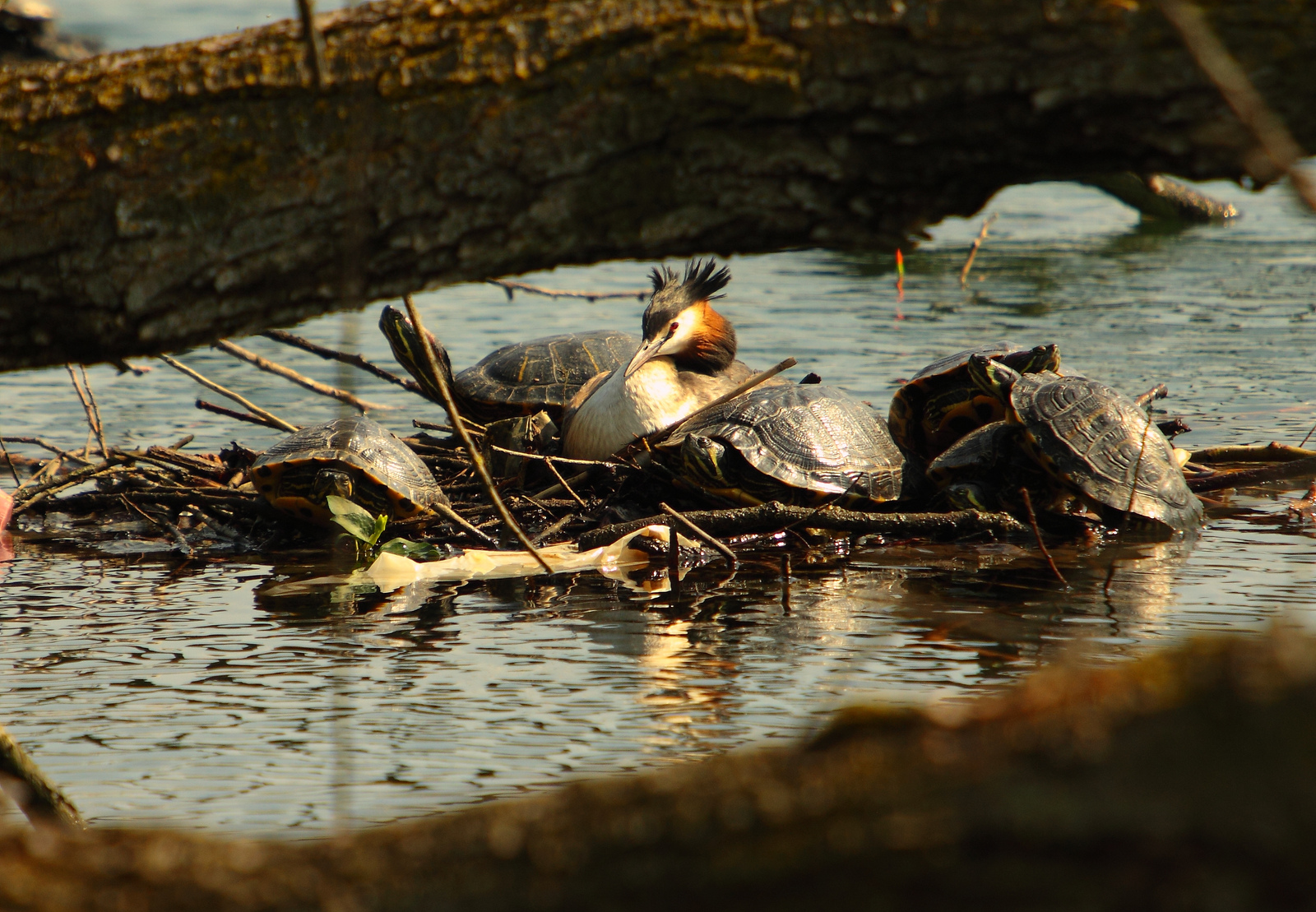 when the intrusiveness ...