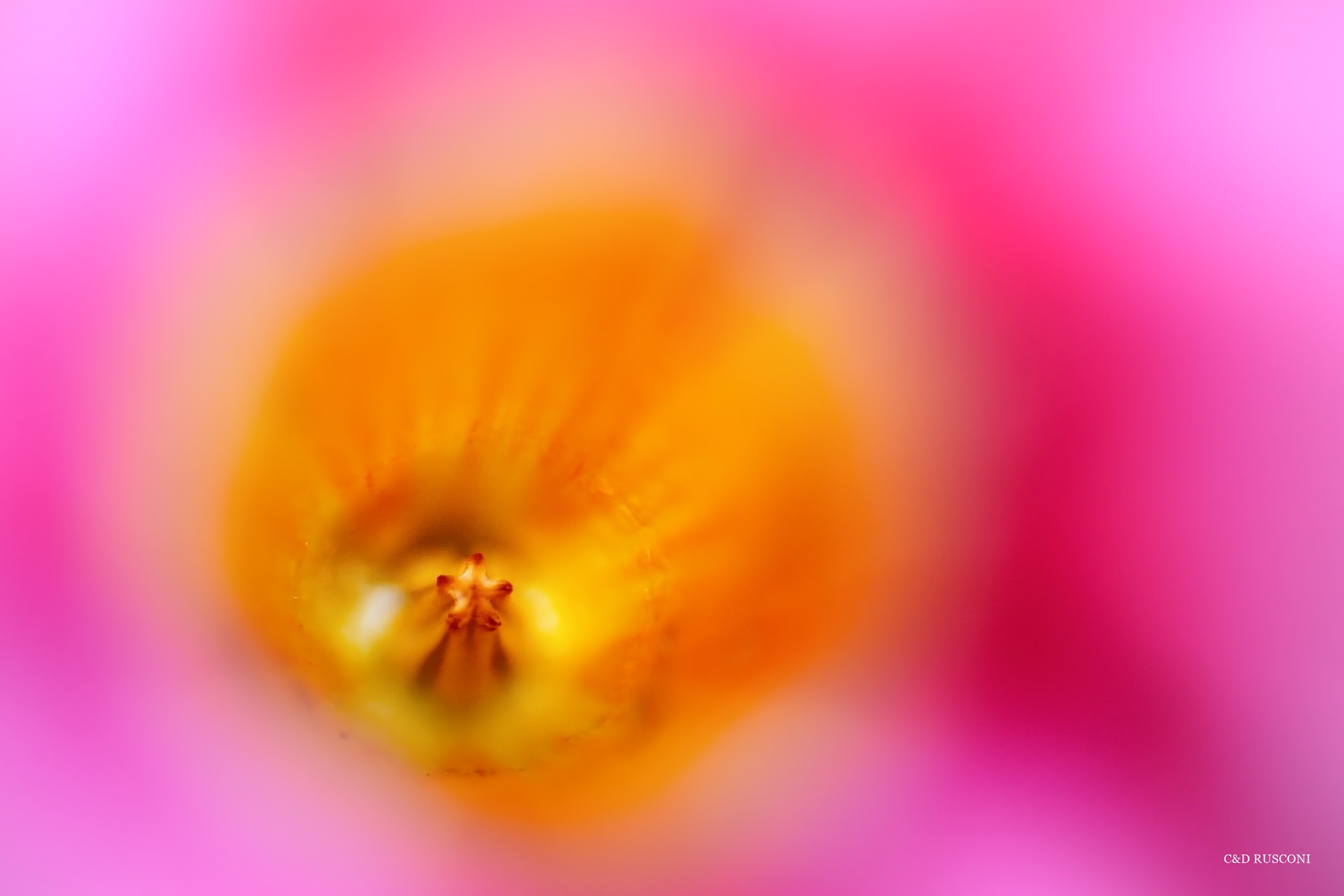 Ai confini del reale