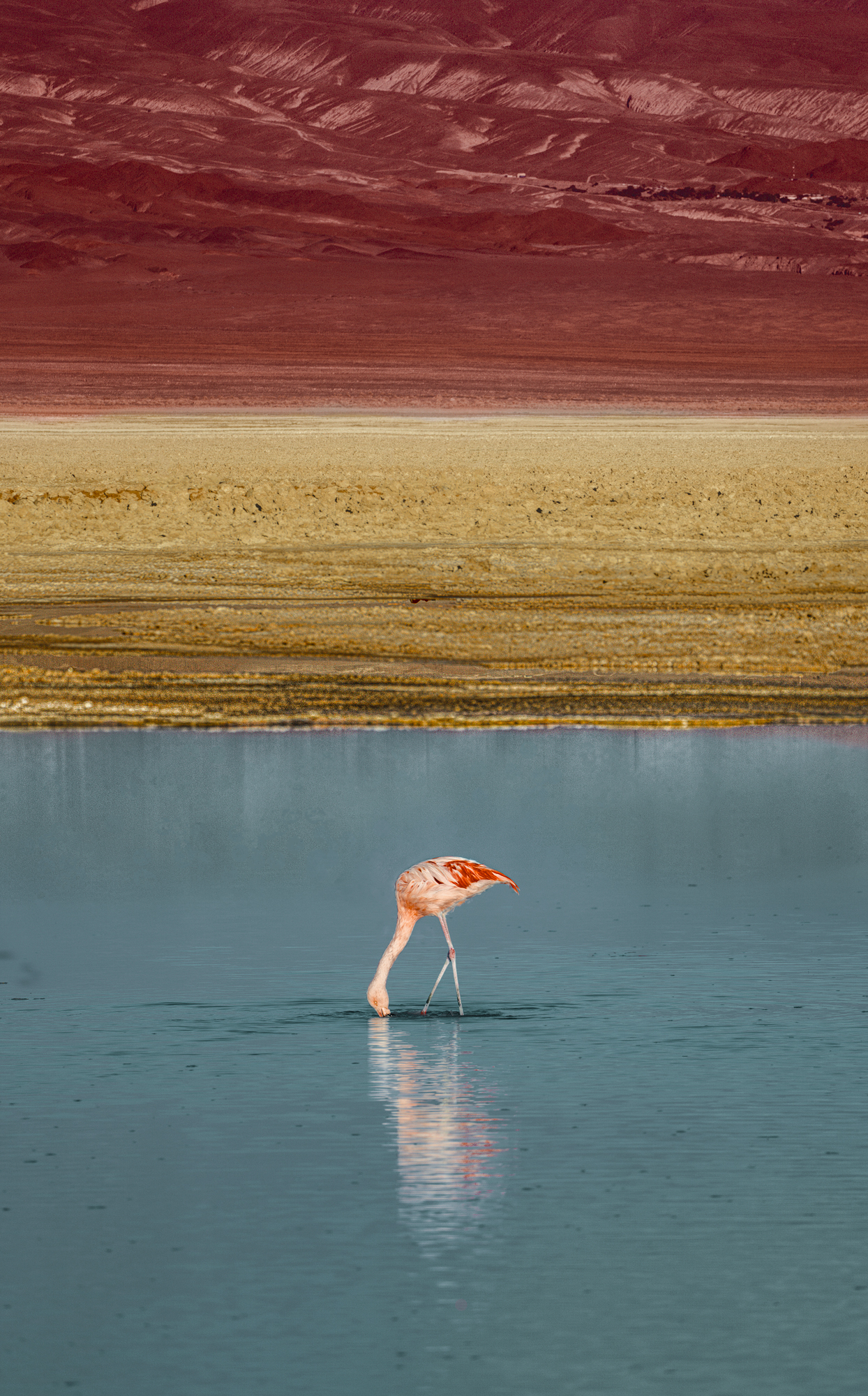 Nel sud della Bolivia