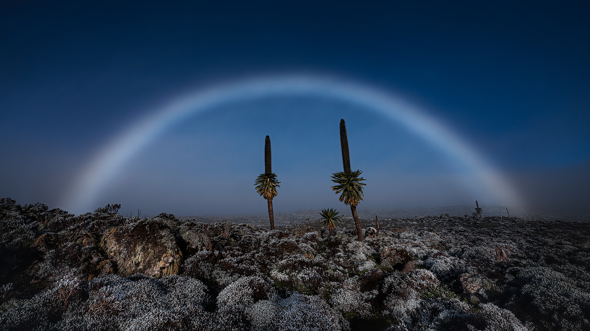 Fogbow - Sanetti Plateaux
