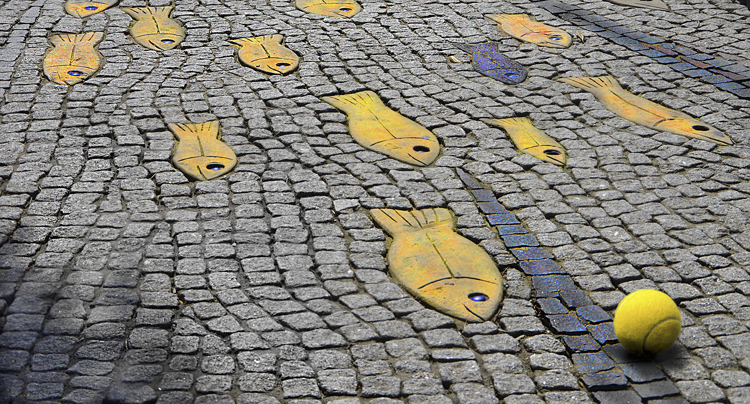 ...e tutti i pesci vennero a galla...