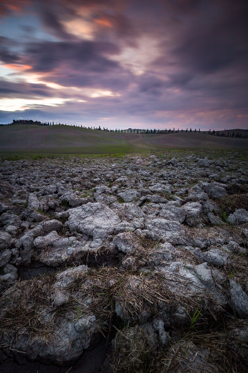 The Crete Senesi